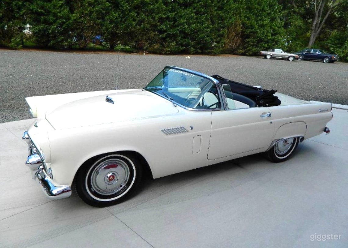 #76,060 1956 Classic Thunderbird Photo 3