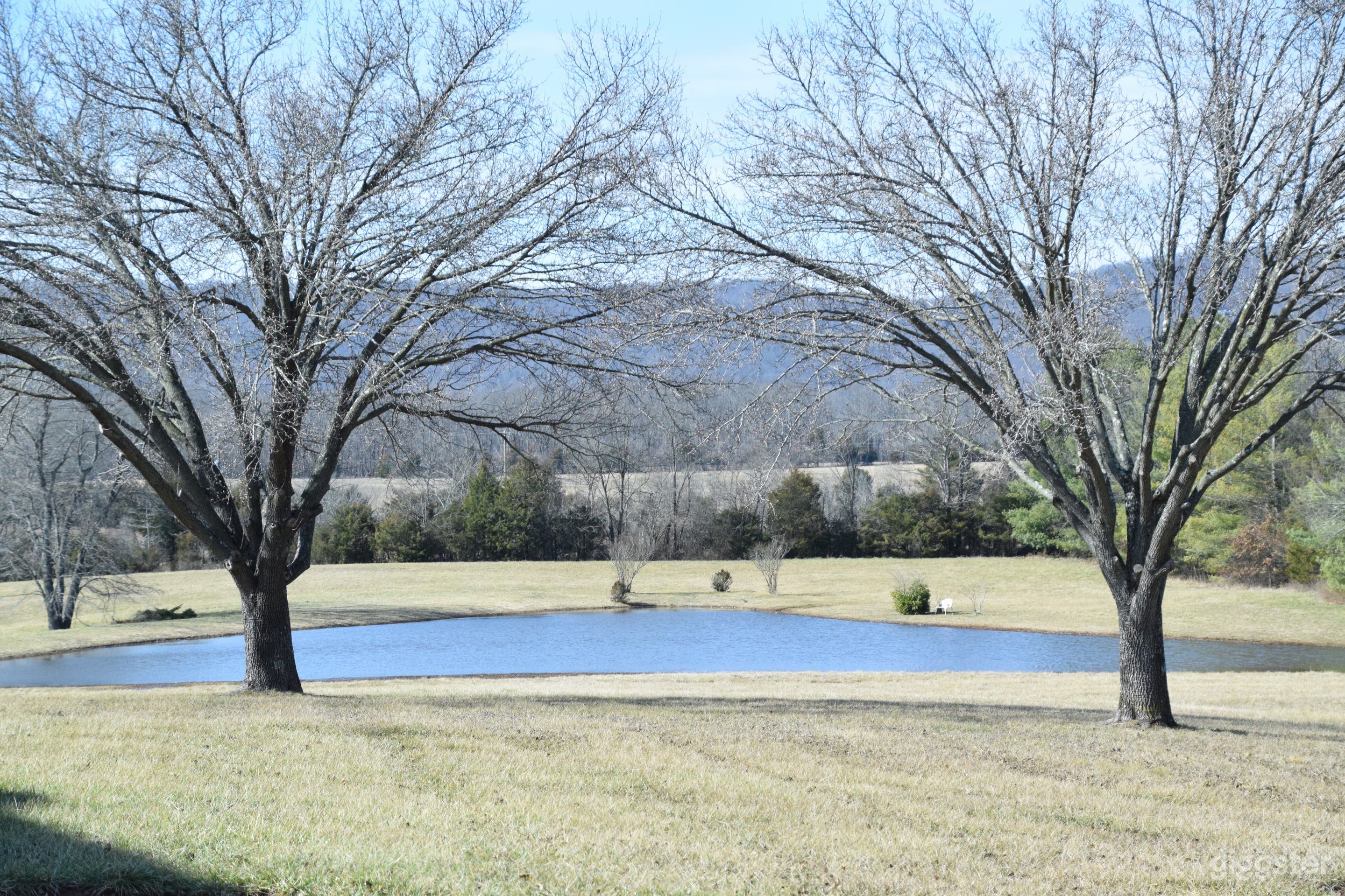 Beautiful 20-acre Private Estate in Virginia  Photo 4