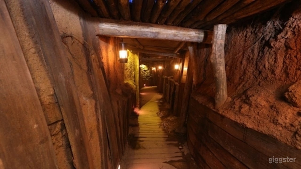 Trenches of the 1st World War  Photo 3