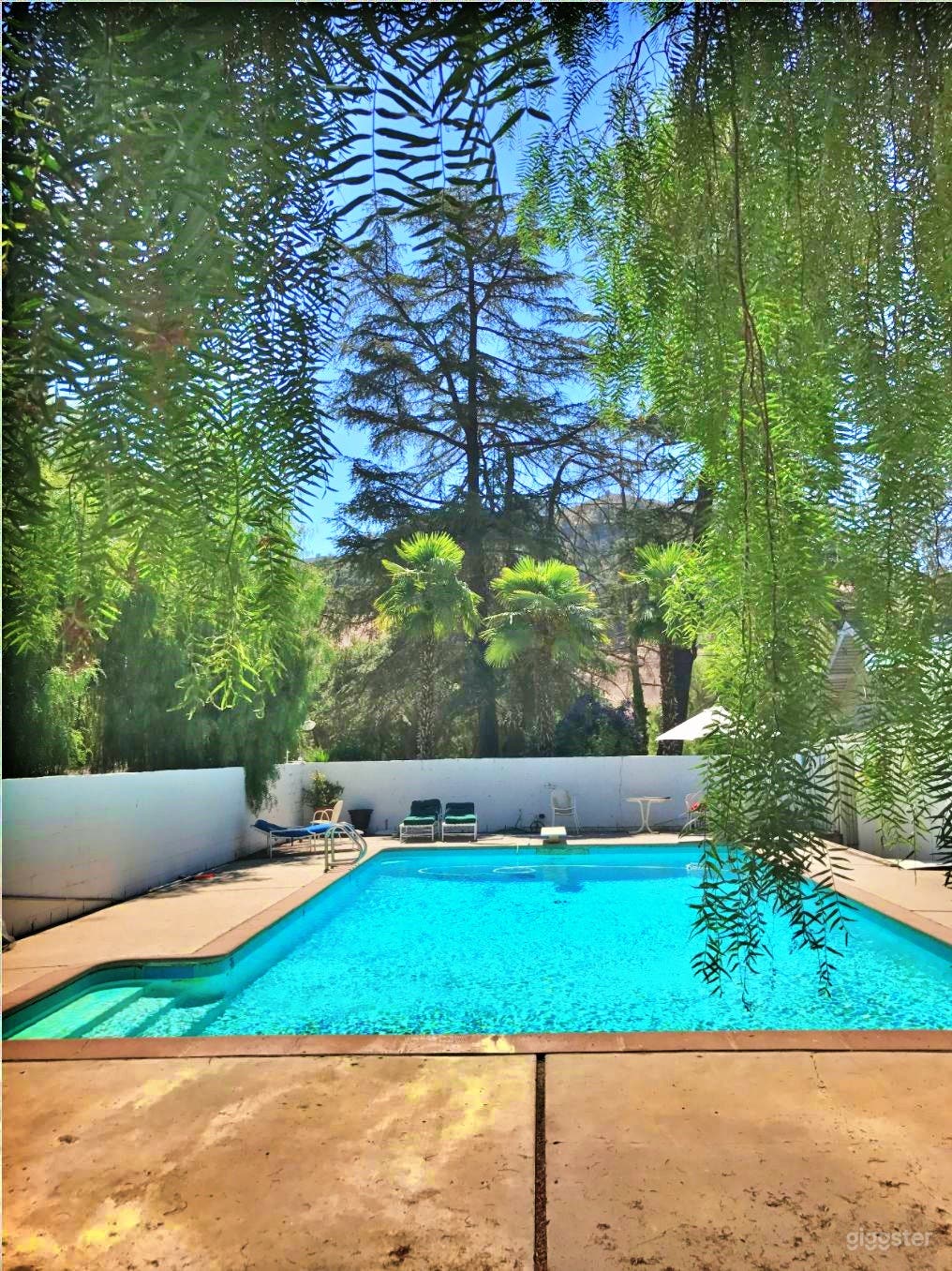 Large Rectangular Pool in a Ranch Photo 3