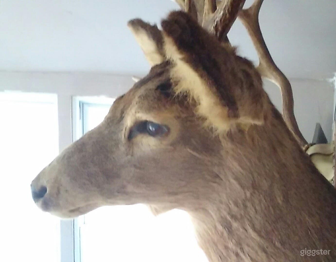 Country setting ARTS on wall