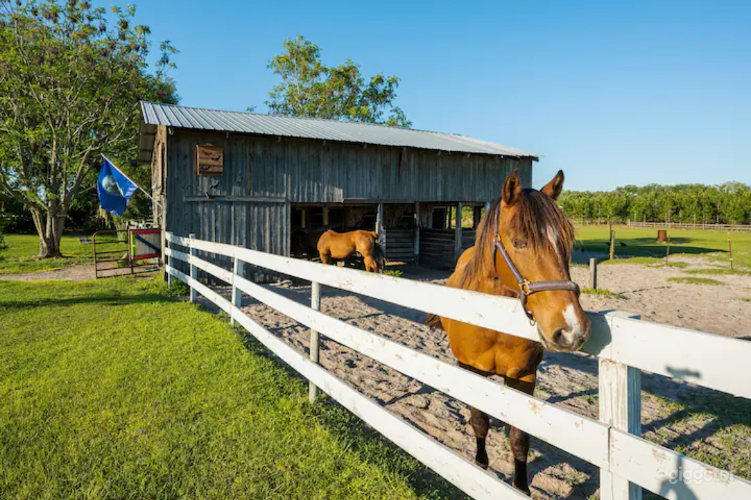 Nature lover Eco shipping Container Cabin on Farm Photo 2