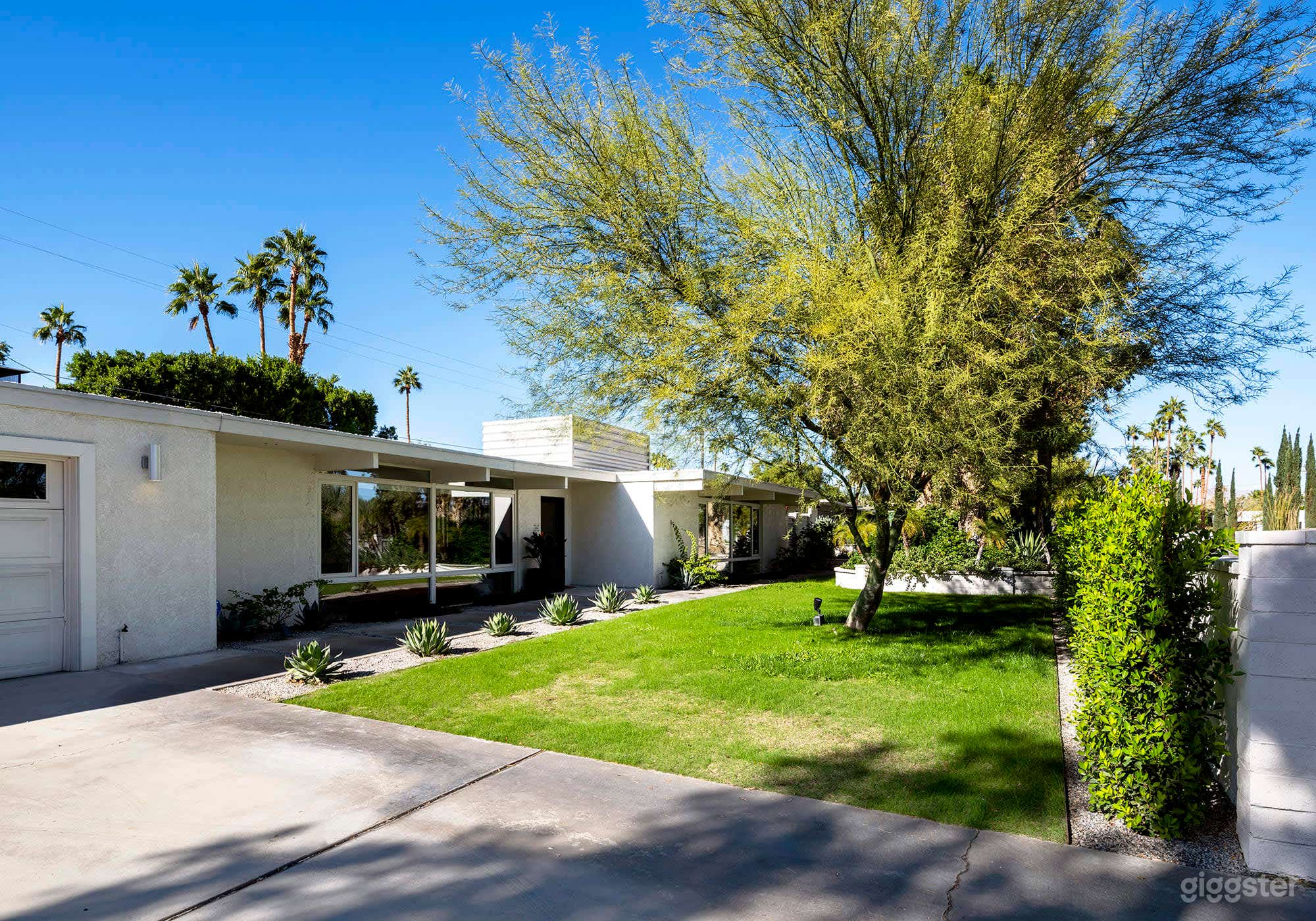 Mid Century Modern Desert Gem Photo 4