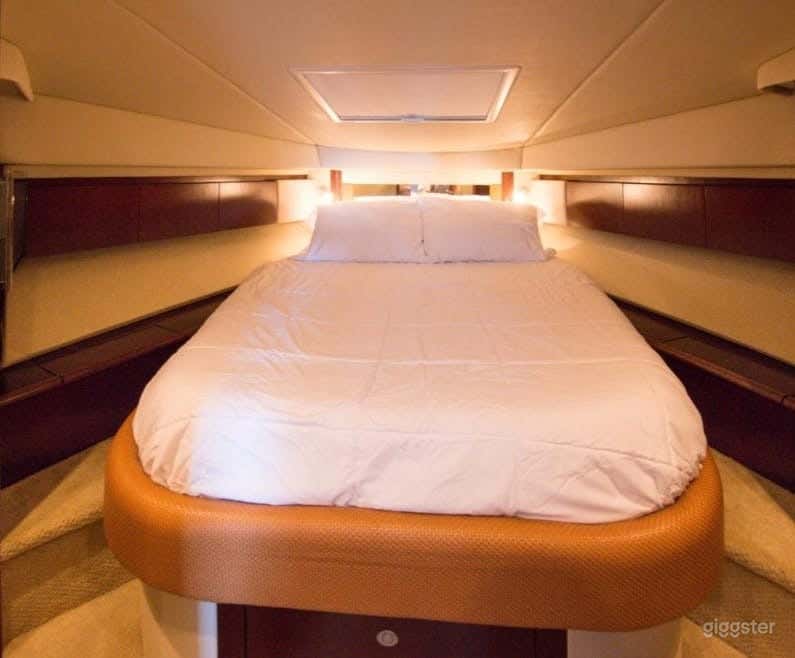 Exceptional 45FT SEA RAY FLYBRIDGE Party Yacht Space Events Photo 4