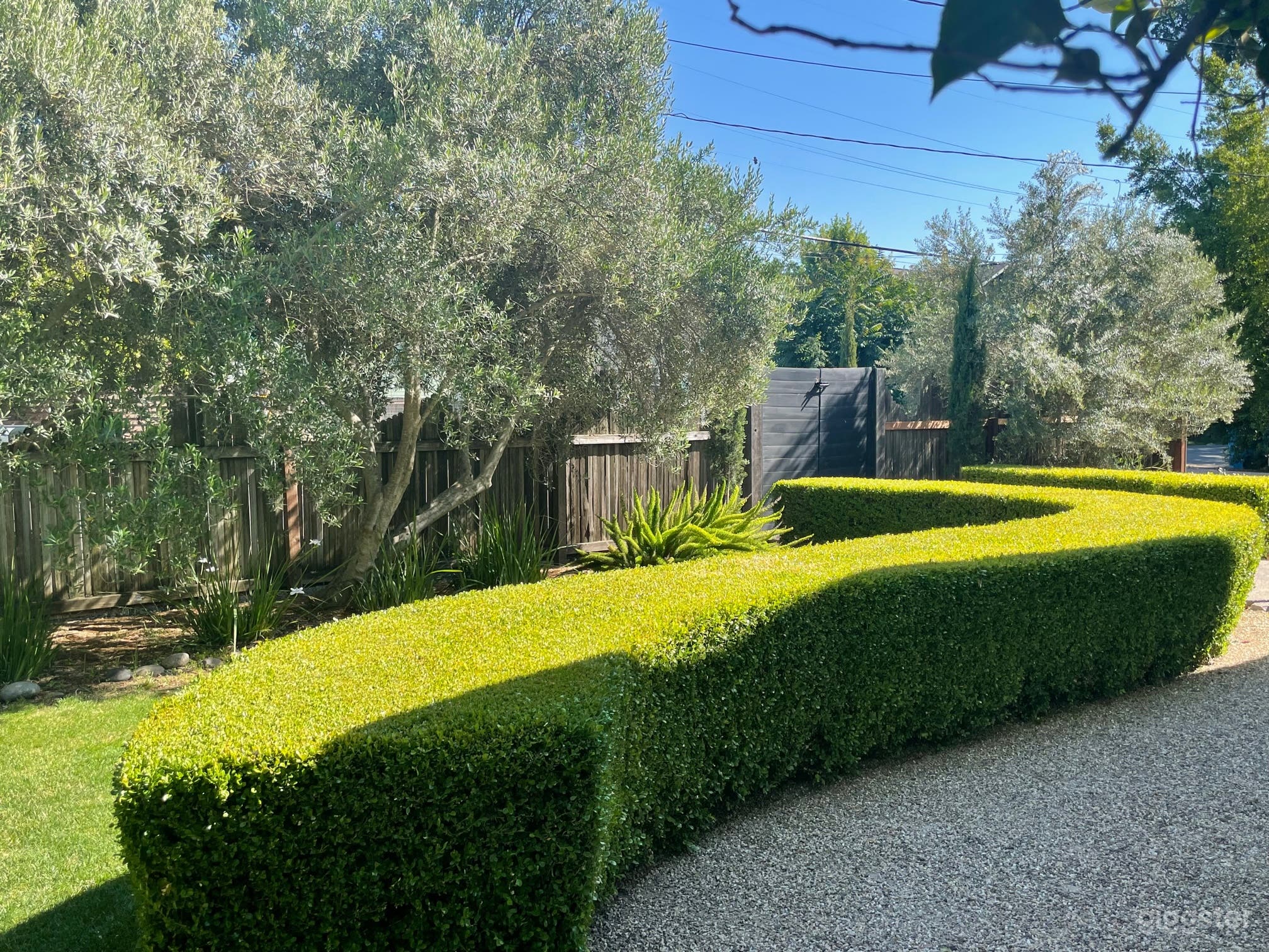 Wine Country Craftsman with large, mature gardens Photo 2