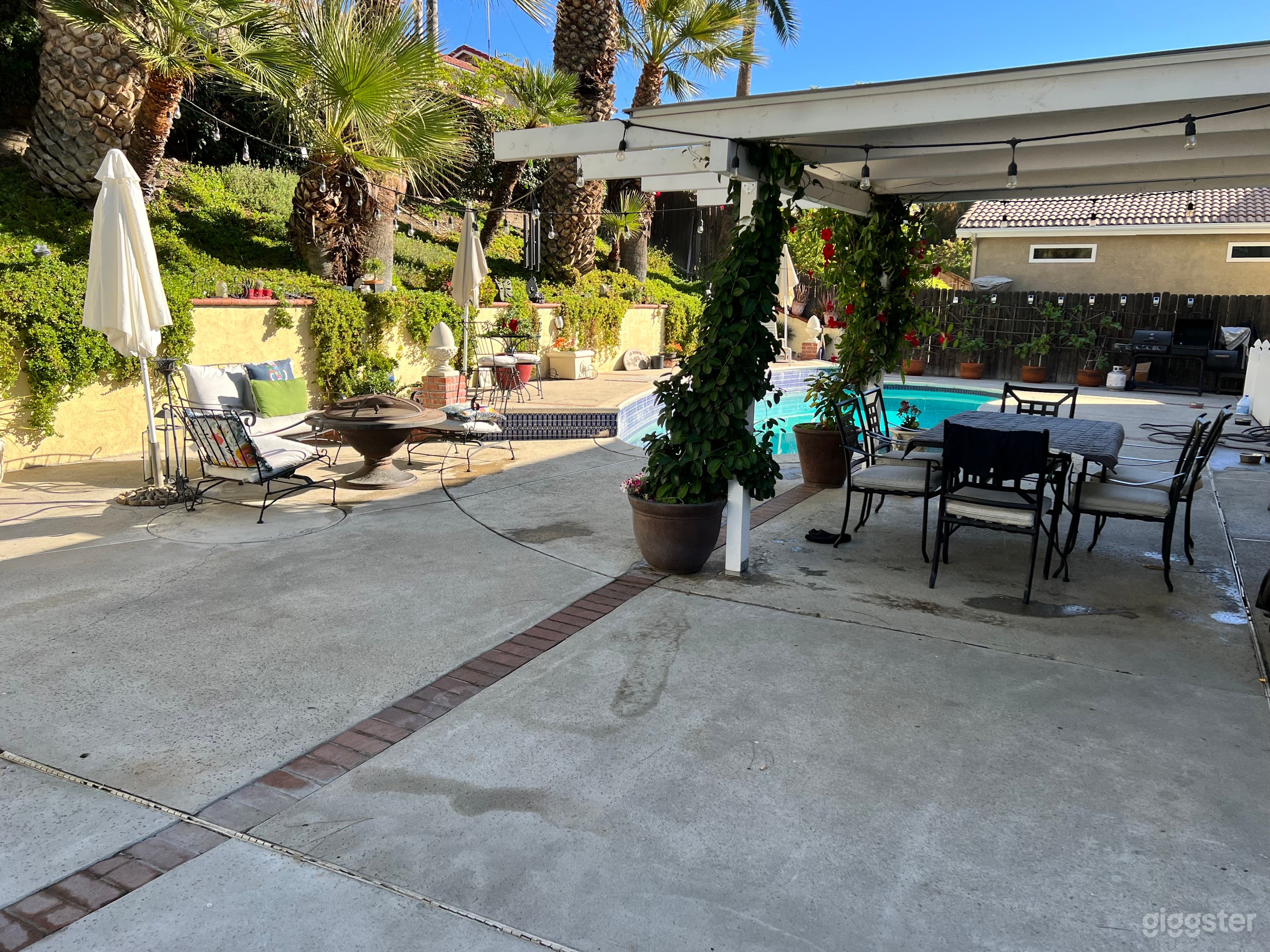 Stunning back yard pool  Photo 3