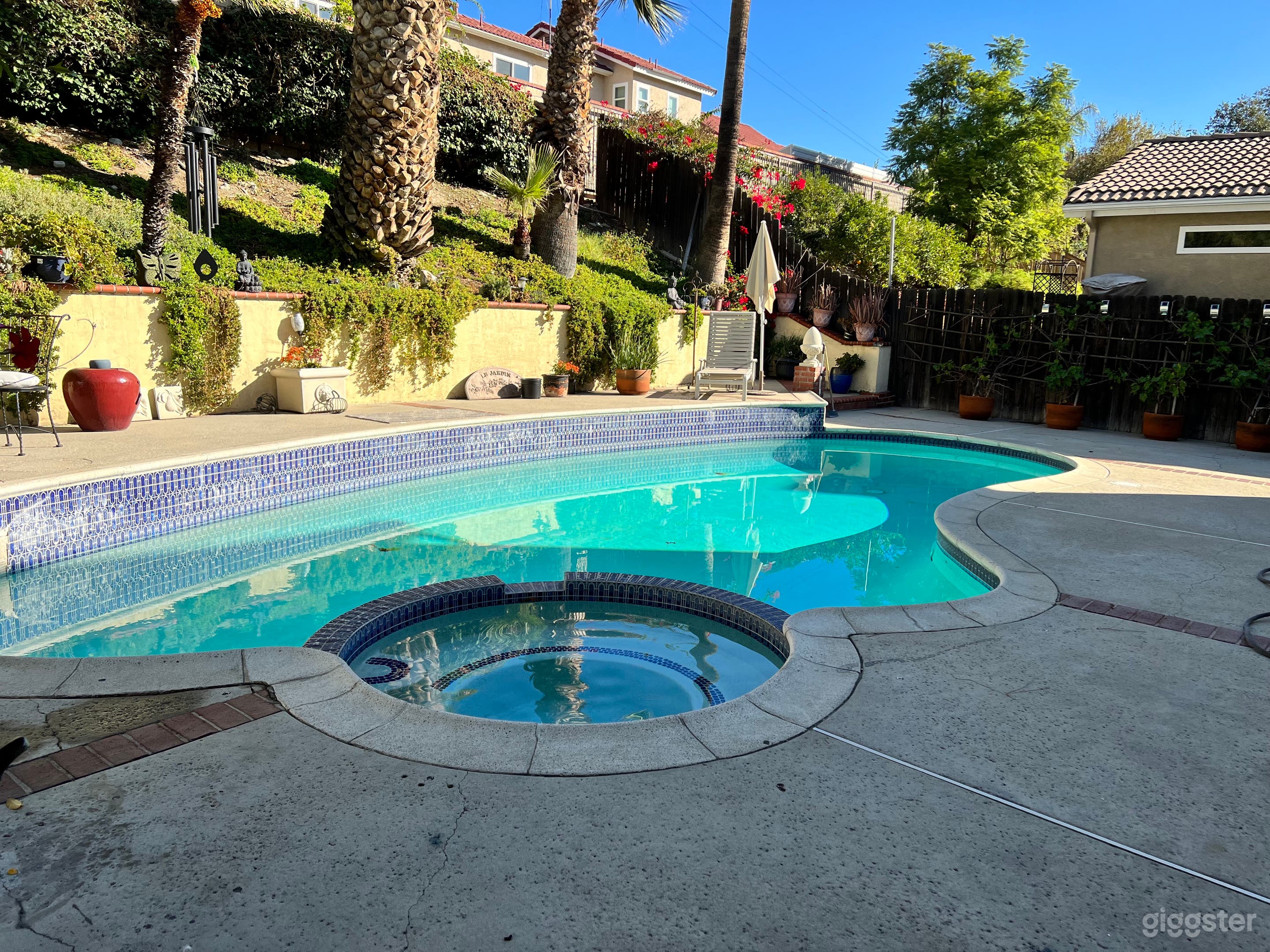 Stunning back yard pool  Photo 1