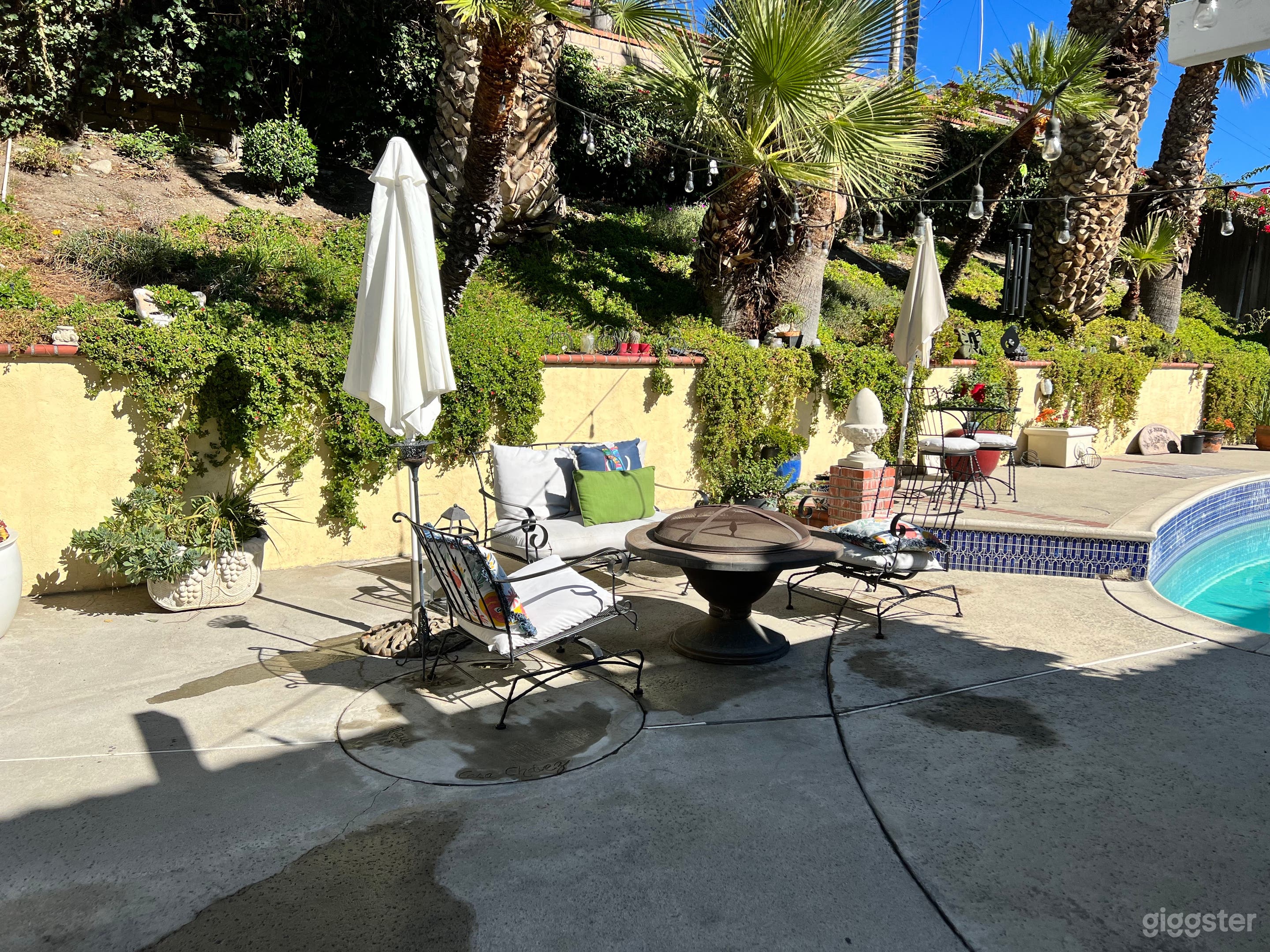 Stunning back yard pool  Photo 4