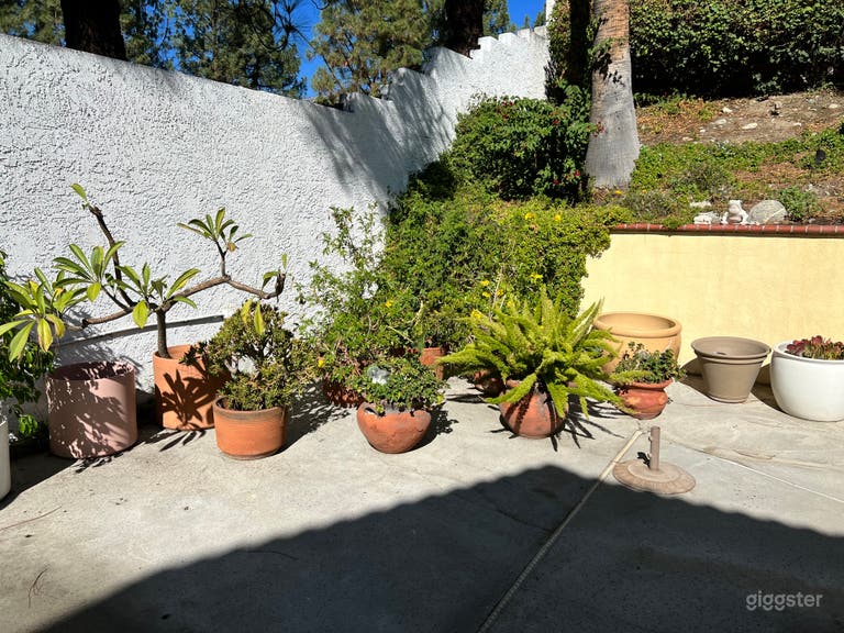  Stunning back yard pool  