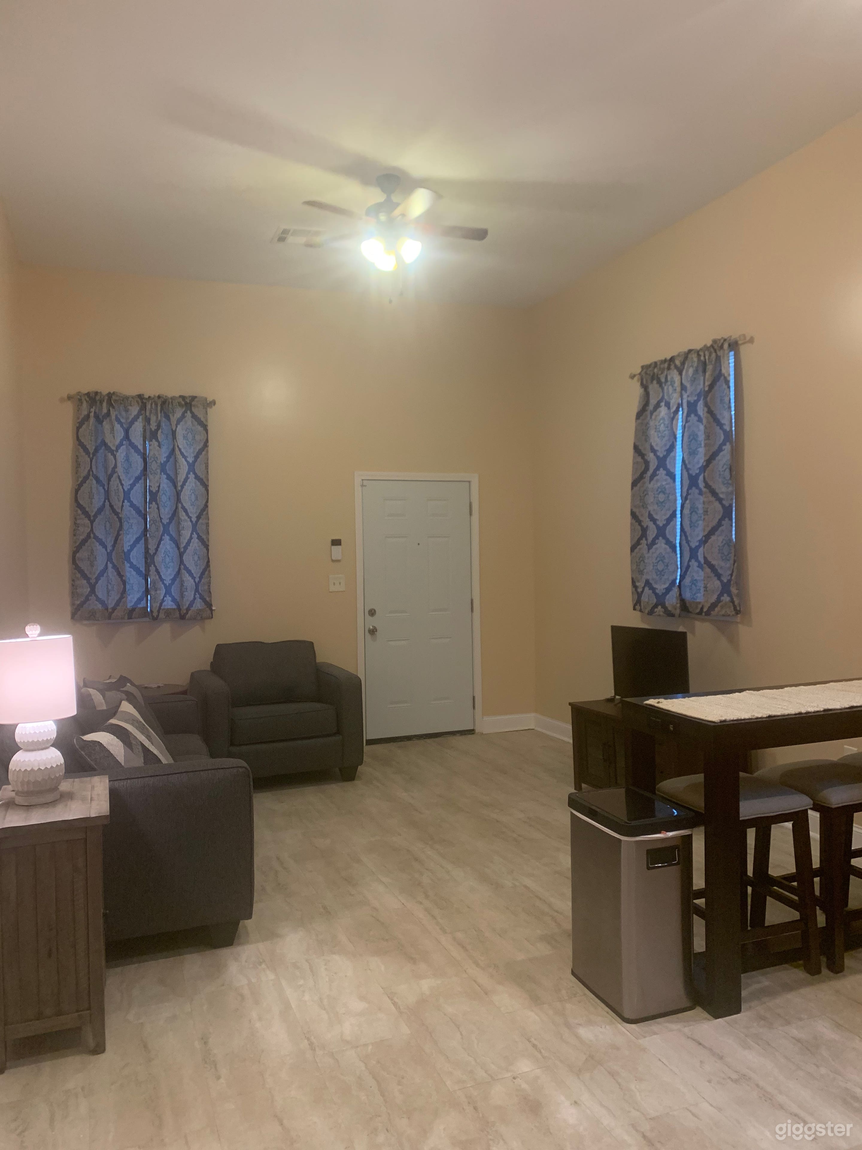 New Orleans Duplex  Photo 4