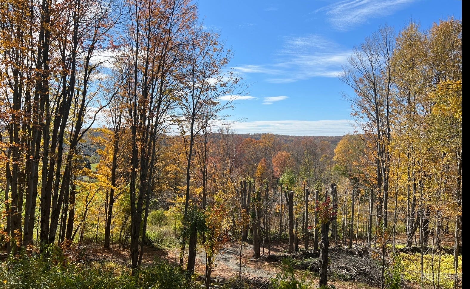 Beautiful fall foliage and transition into winter