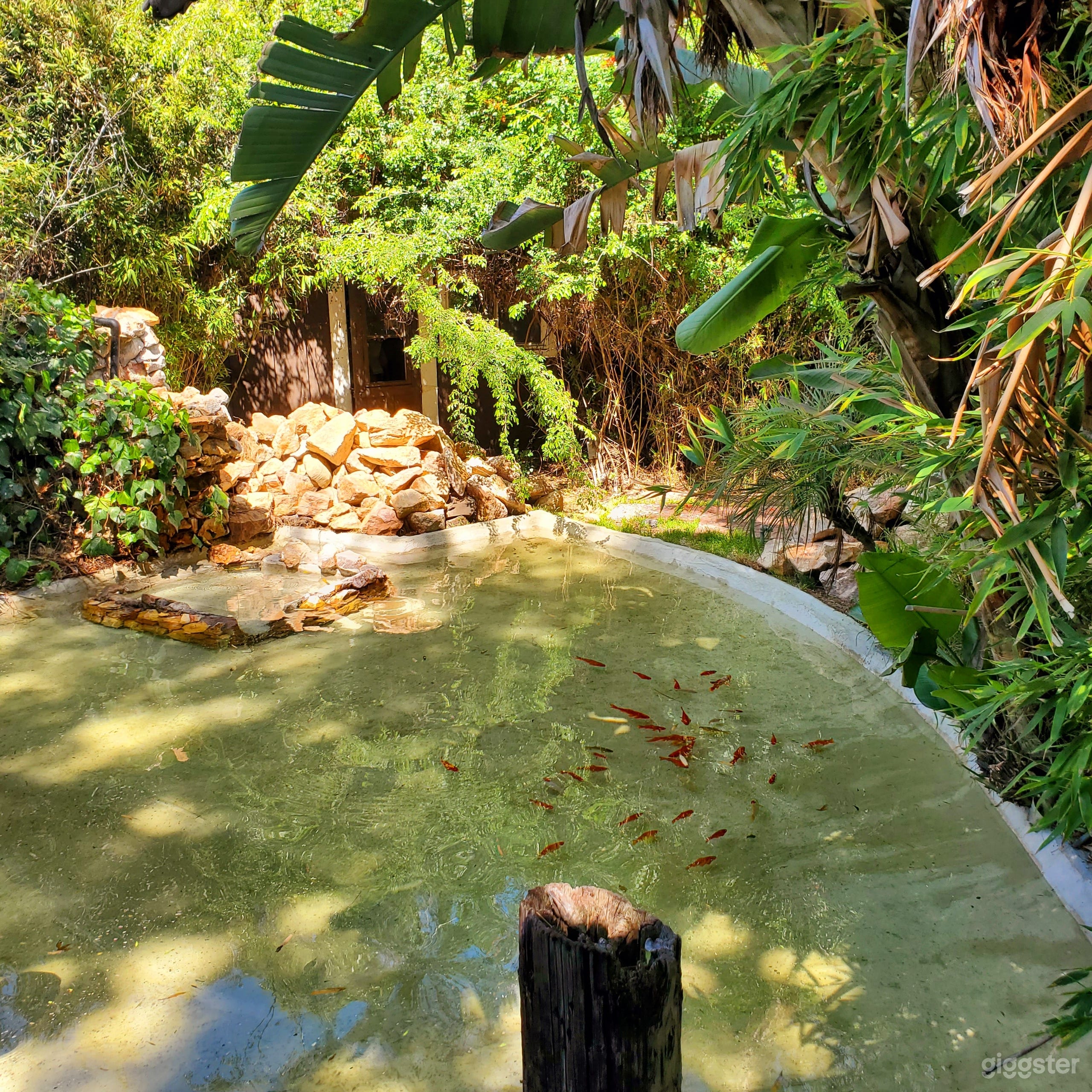 Beautiful Ranch House in the middle of the city  Photo 2