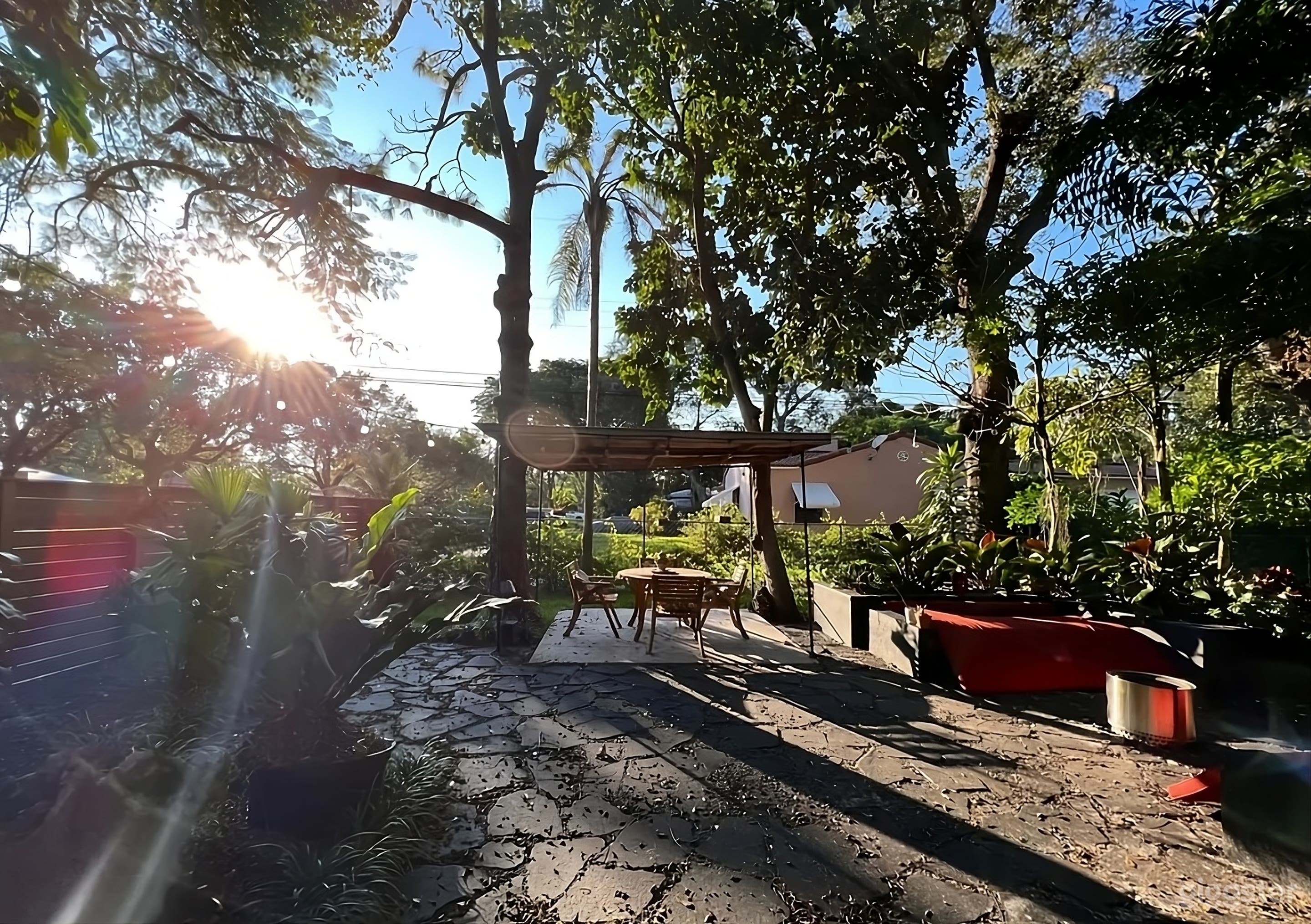 Ultimate Green Backyard Paradise Photo 3