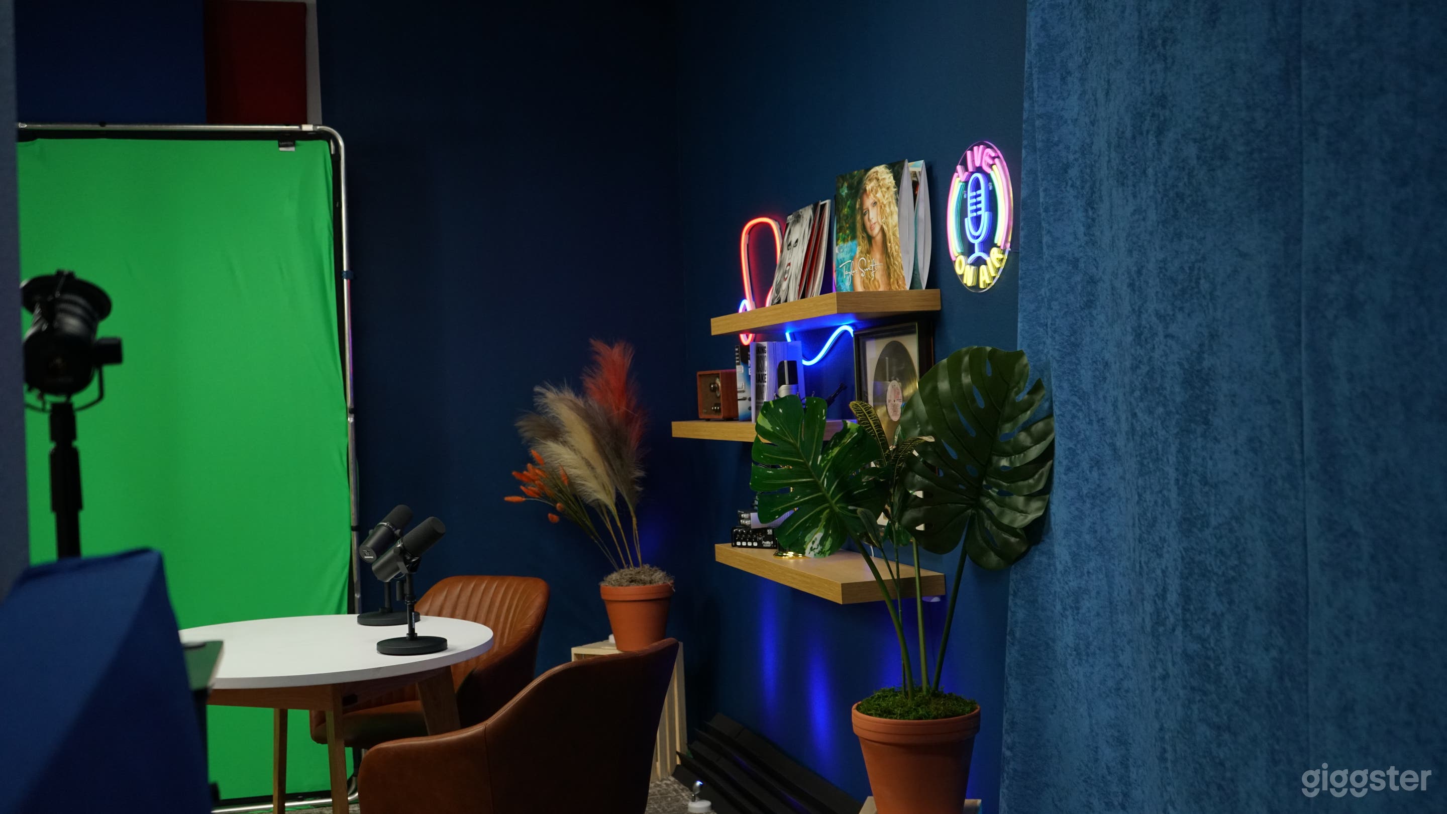 Our studio is acoustically treated with sound deadening throughout, and we have a full-size green screen available upon request!