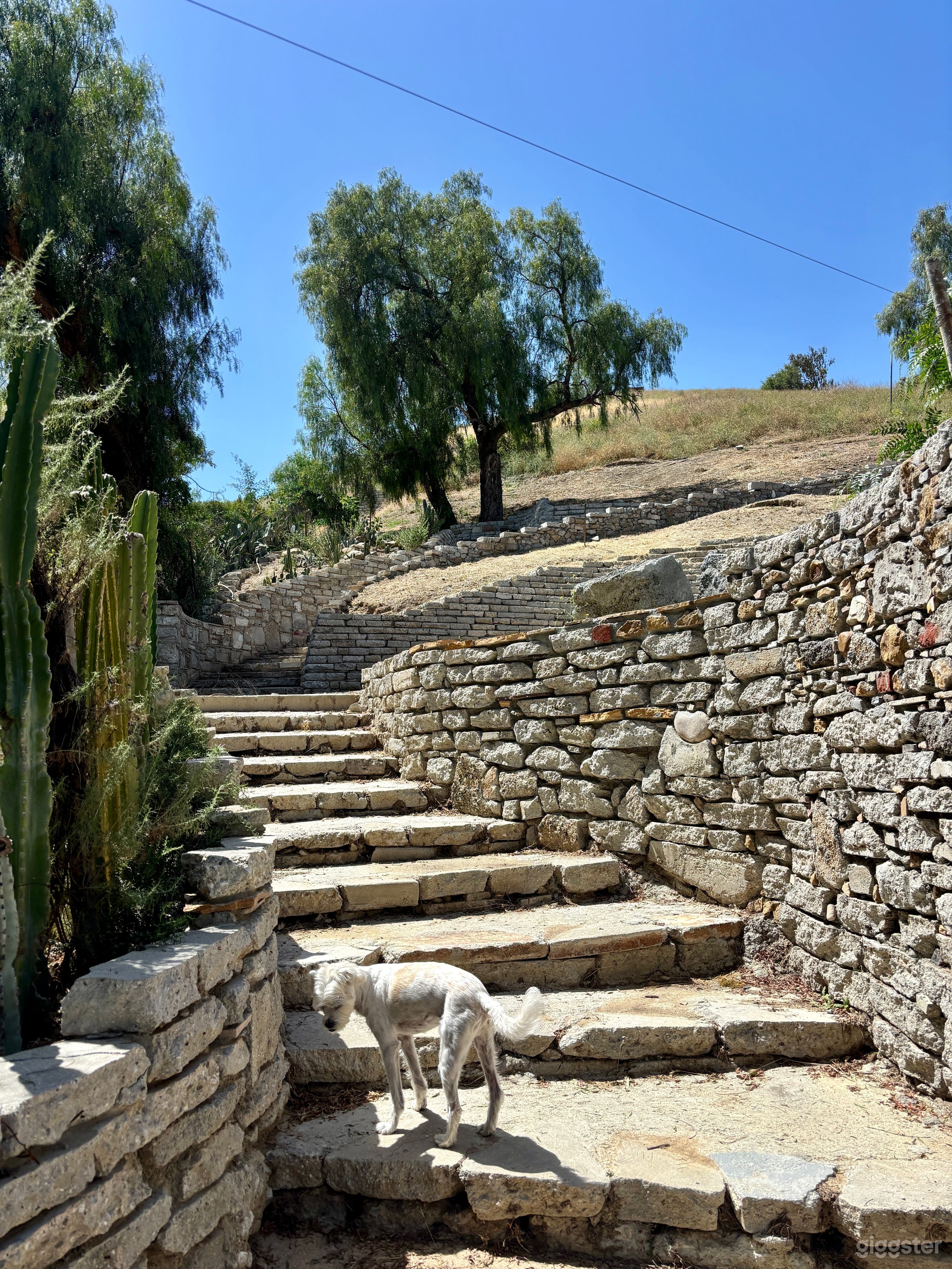 Tuscan Hillside w/ Stone Terraces & Boho Interiors Photo 1