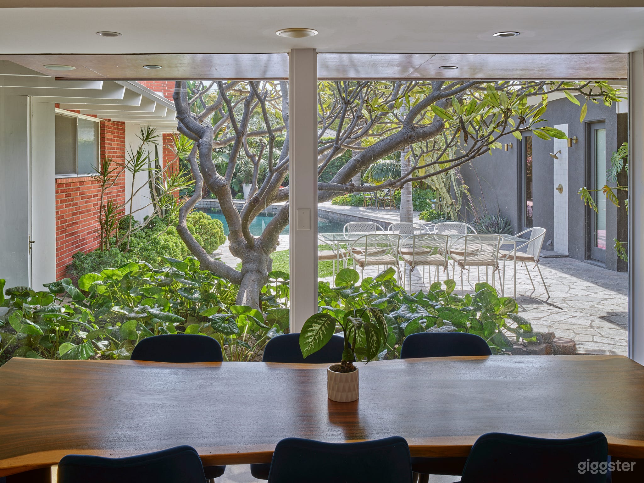 Bright Mid-Century Modern Home with Large Pool Photo 4