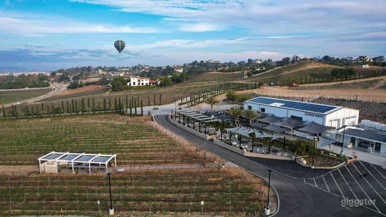  Private Vineyard Patio in a 22-Acre Winery & Vineyard 