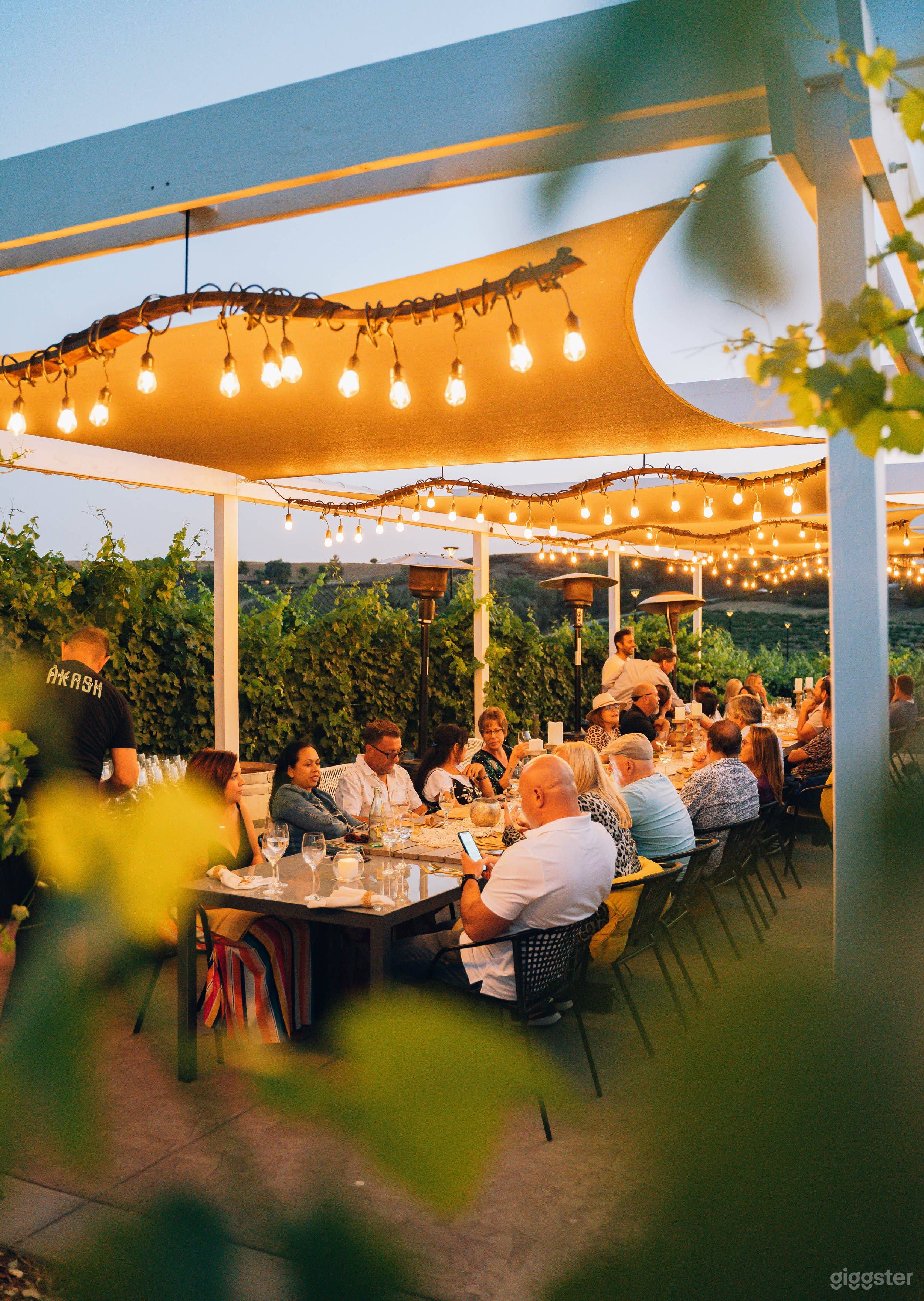 Private Vineyard Patio in a 22-Acre Winery &amp; Vineyard Photo 1