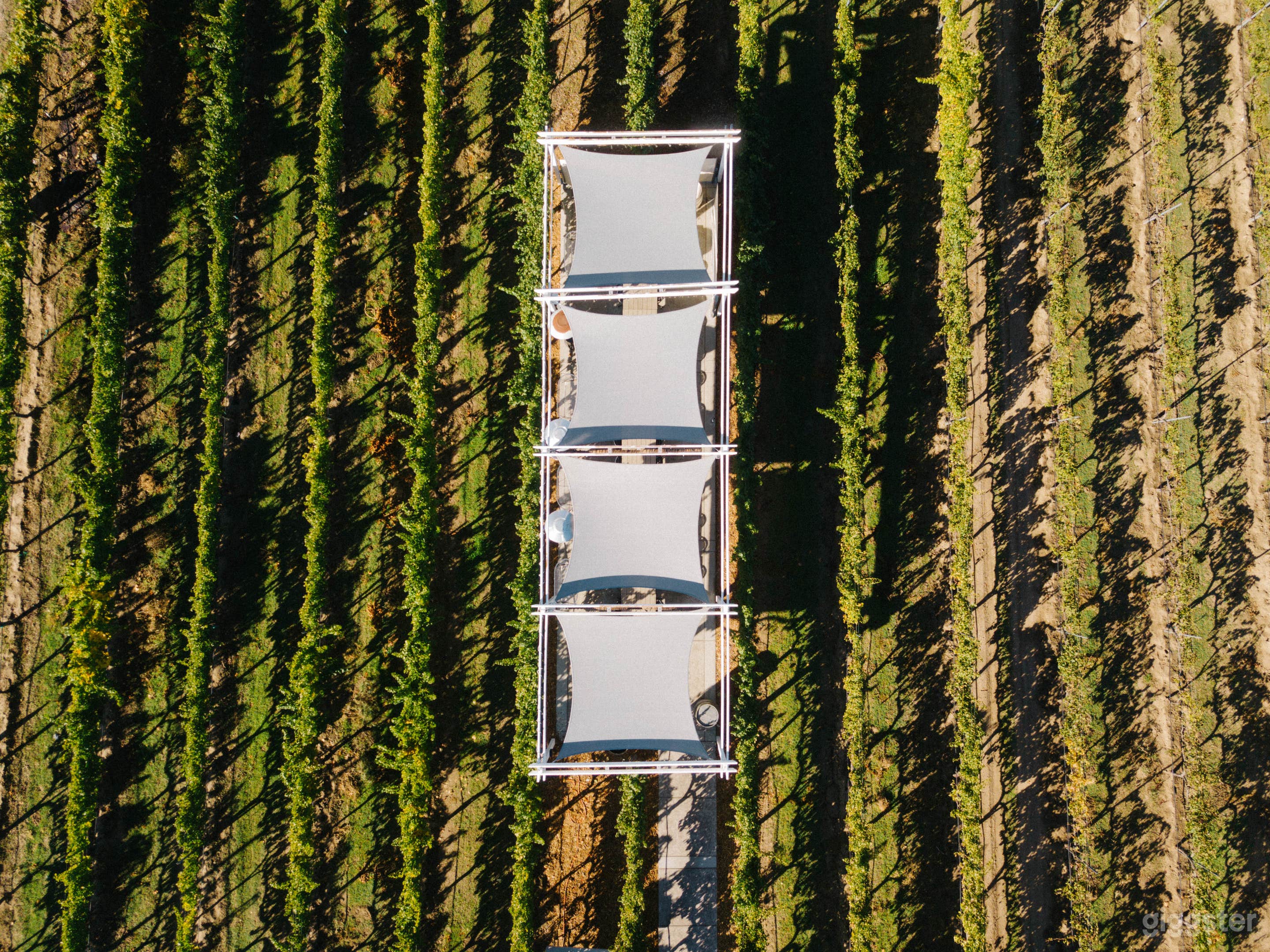 Private Vineyard Patio in a 22-Acre Winery &amp; Vineyard Photo 2