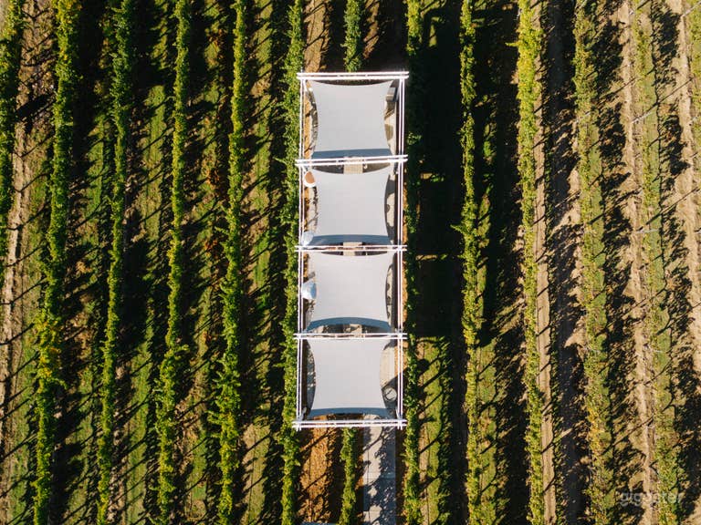  Private Vineyard Patio in a 22-Acre Winery & Vineyard 