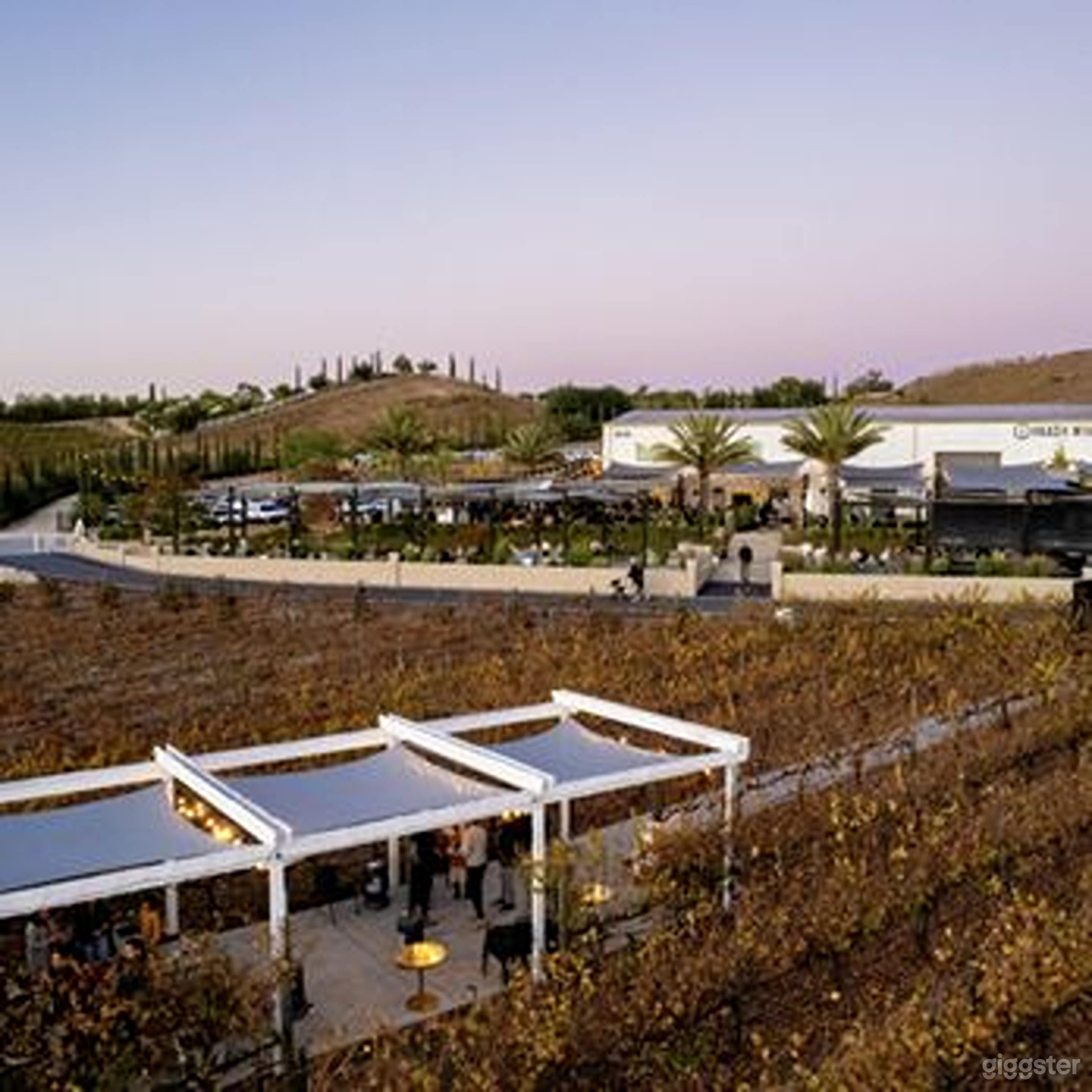 Private Vineyard Patio in a 22-Acre Winery &amp; Vineyard Photo 4