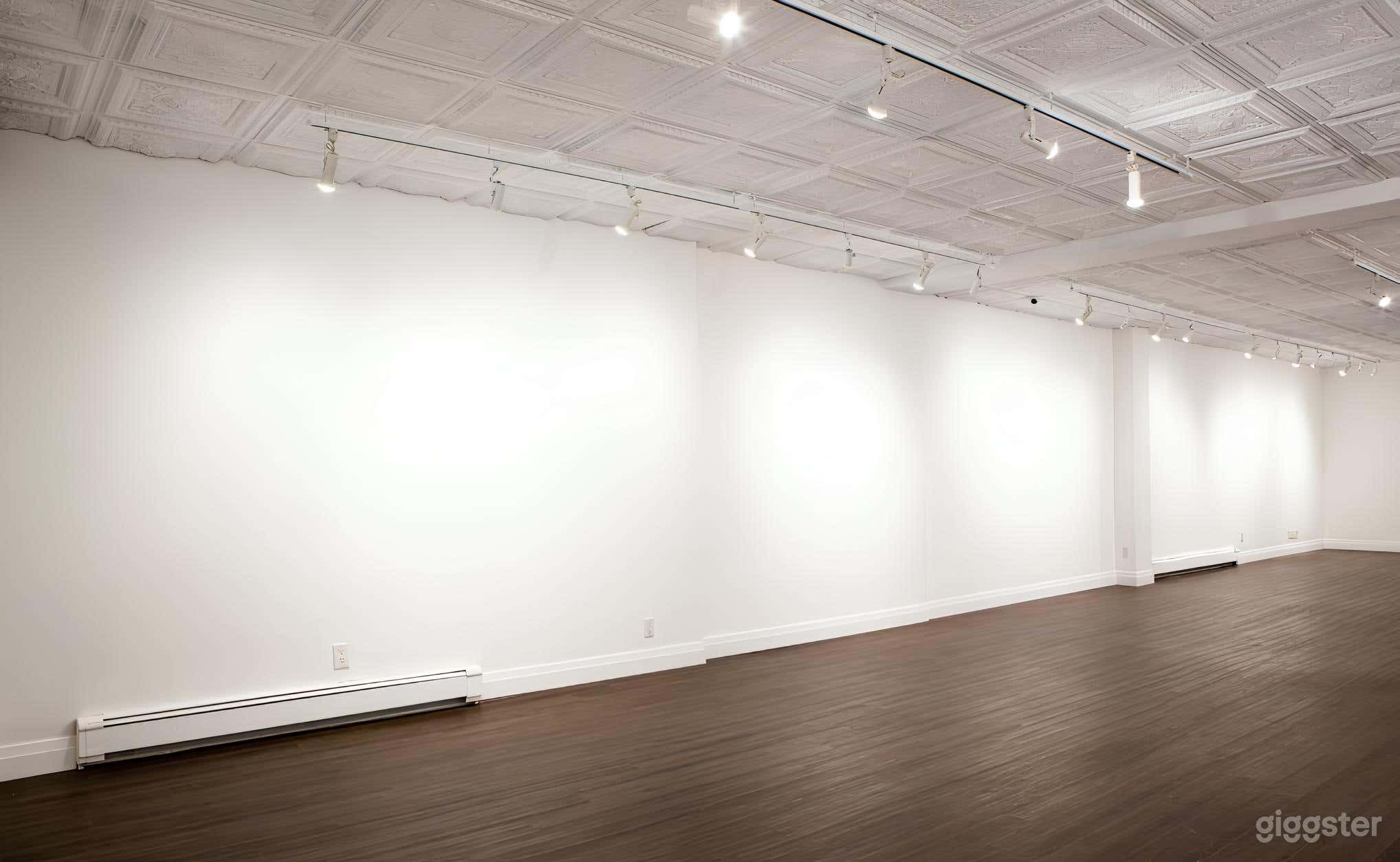 Beautiful Well Curated Space Photo 4