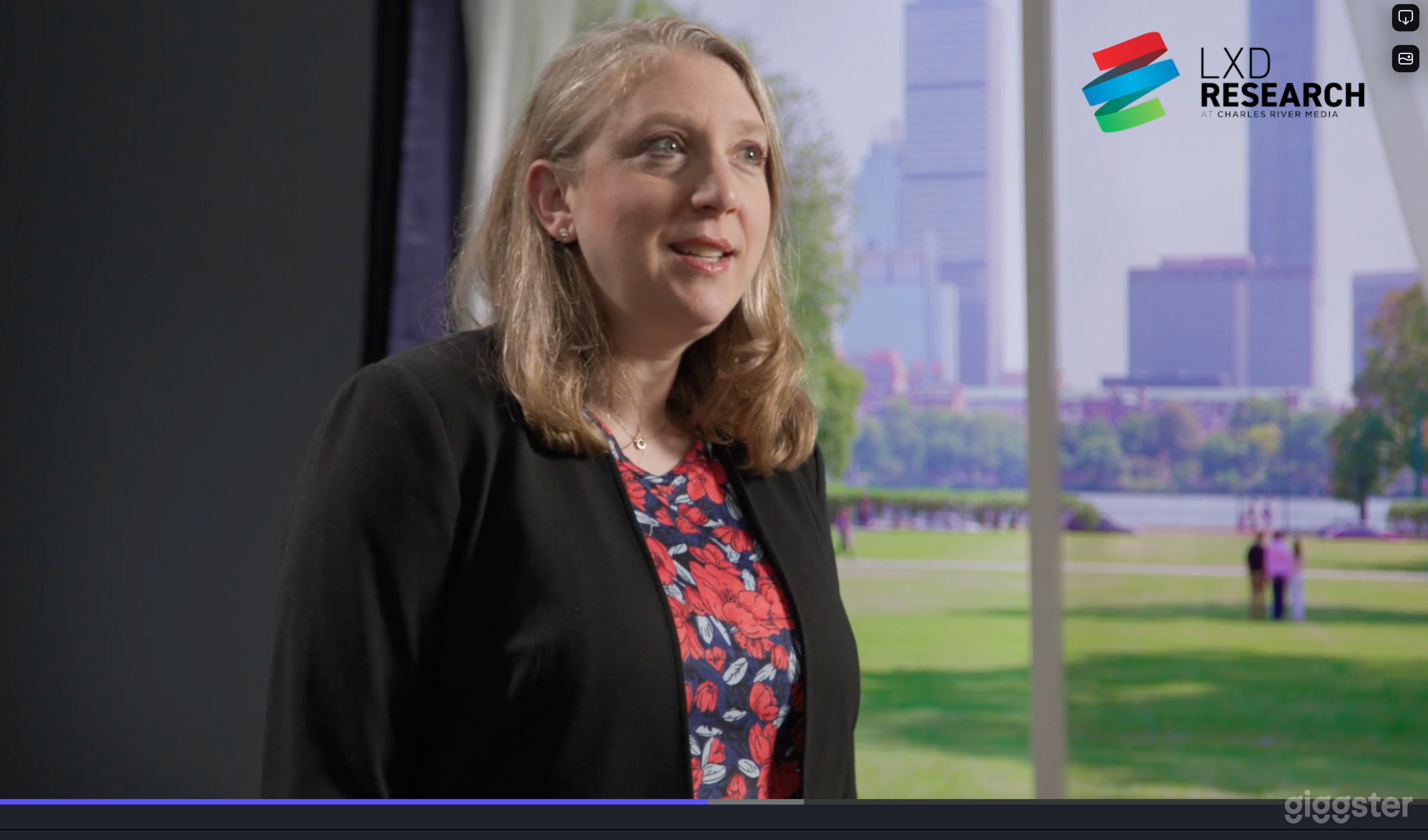 Custom Window/Living Room Set