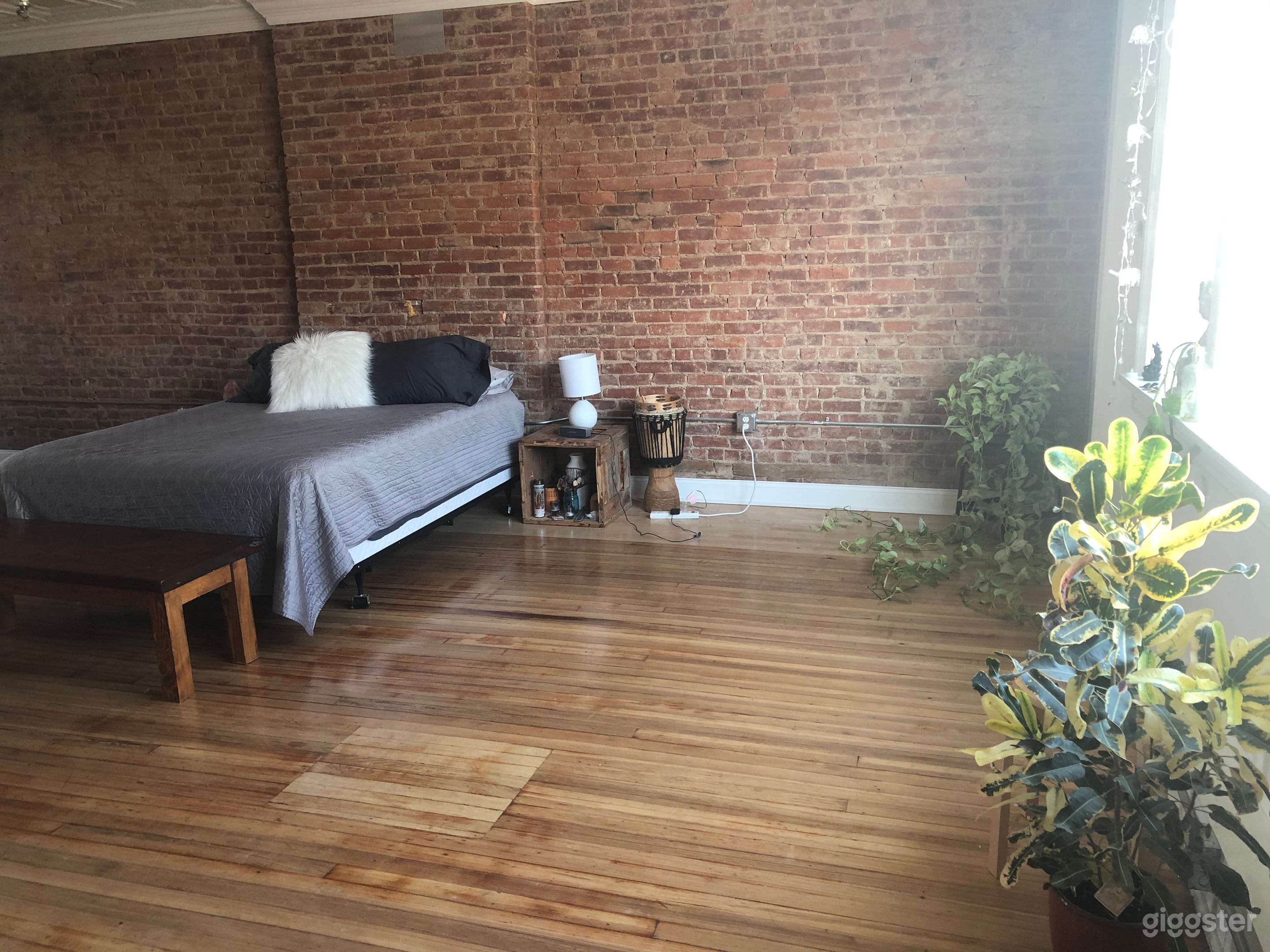 Bright Studio in Kingston Photo 4