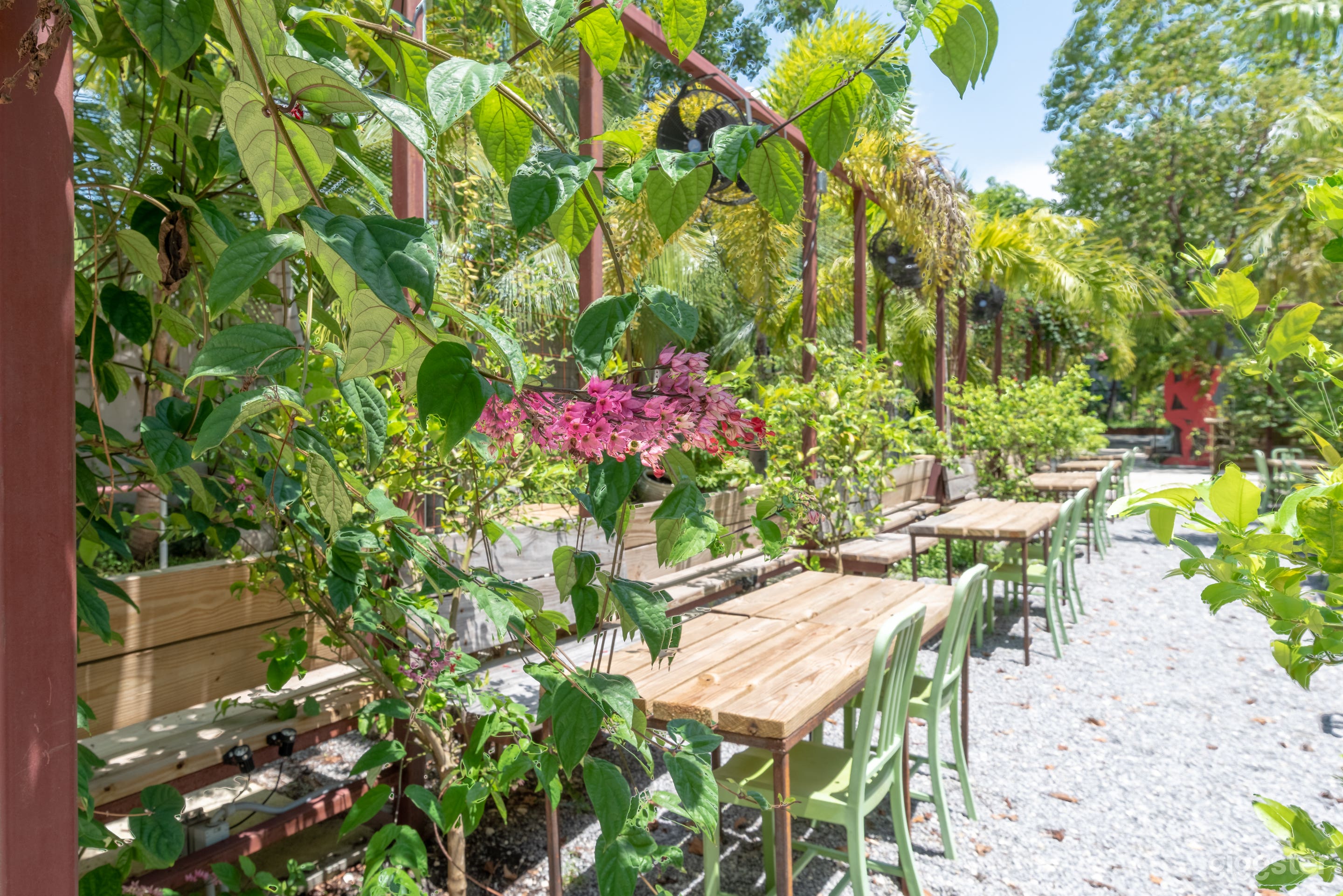 Lemon Garden Cafe Photo 3