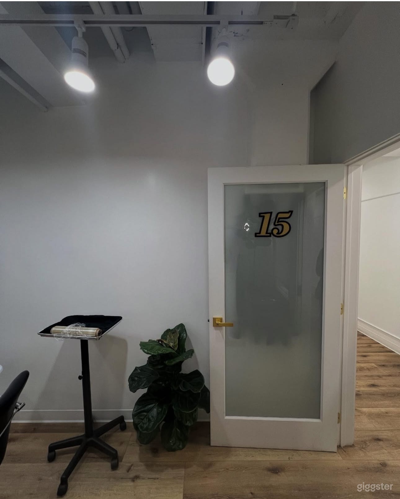 Professional Hair Studio for Rent/Prime Downtown Meatpacking Photo 2