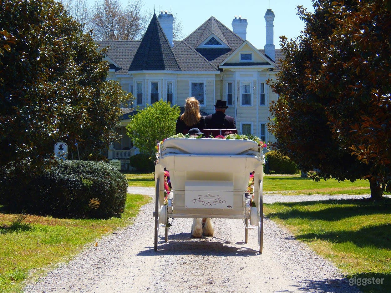 A carriage ride up Magnolia Way approaching the huge Victorian home.
