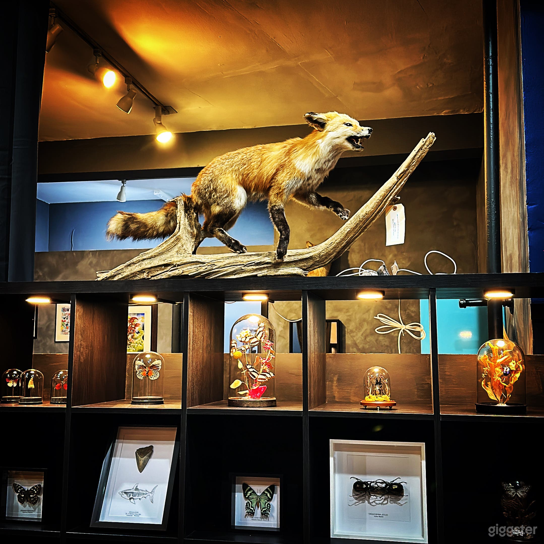 Industrial Tattoo Studio Photo 3