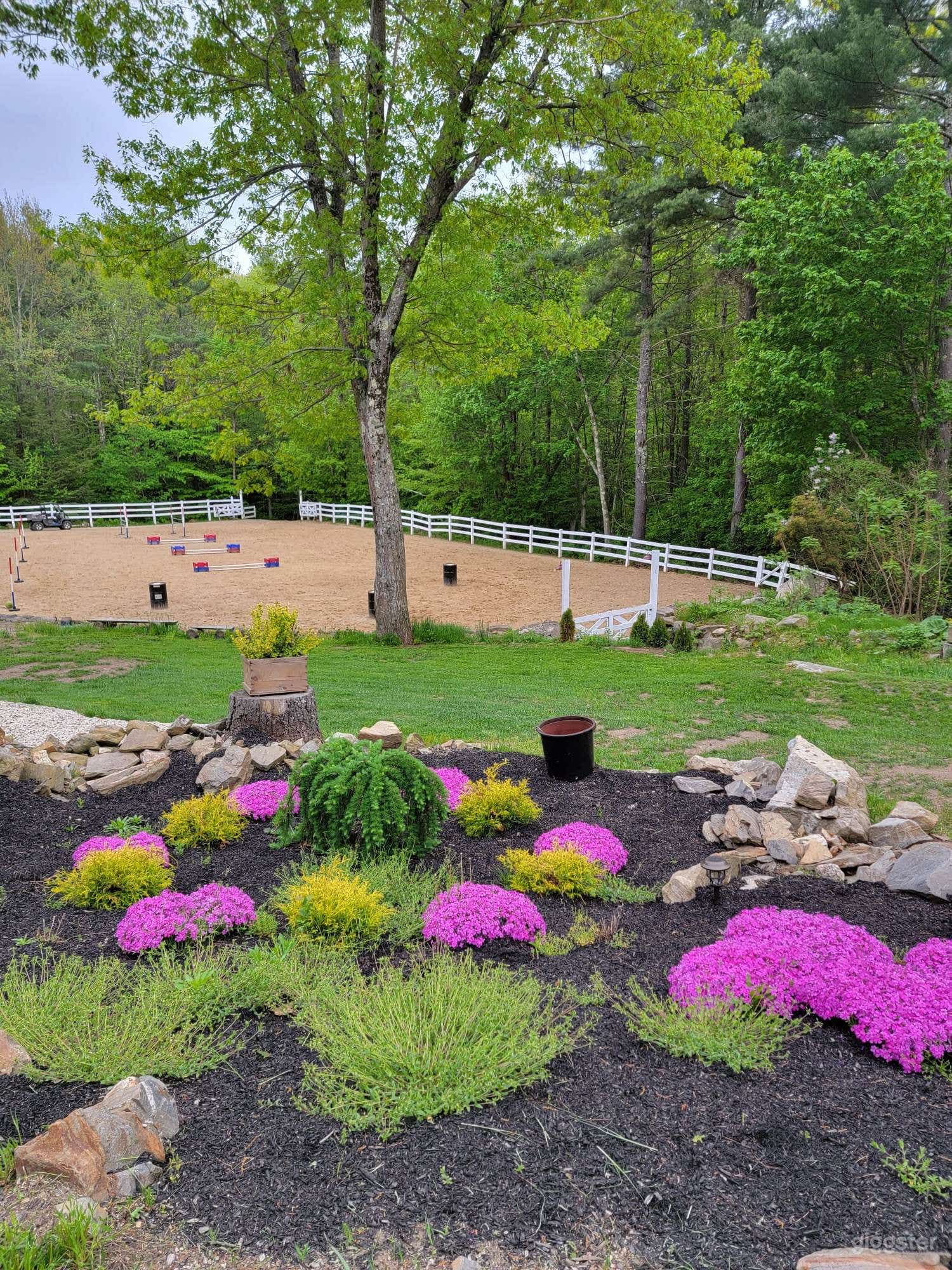 View to our main arena.