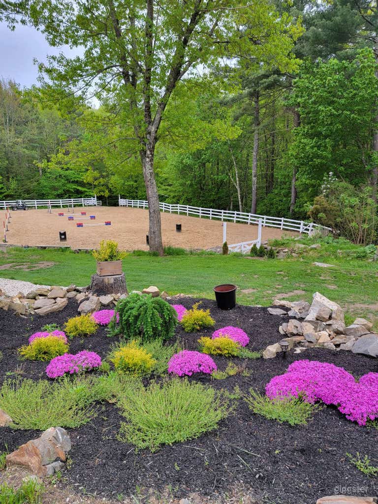  View to our main arena. 