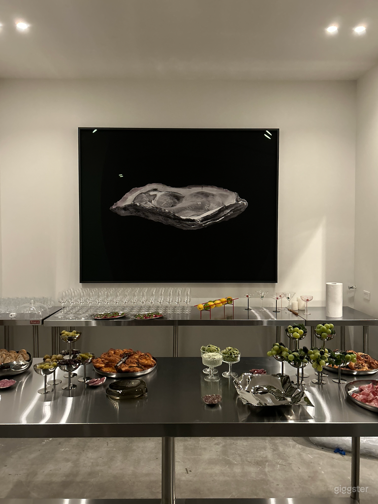  Elevated Gallery Studio 