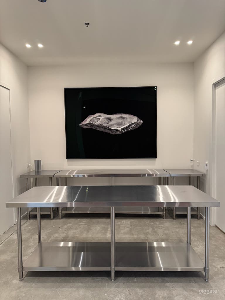  Elevated Gallery Studio 