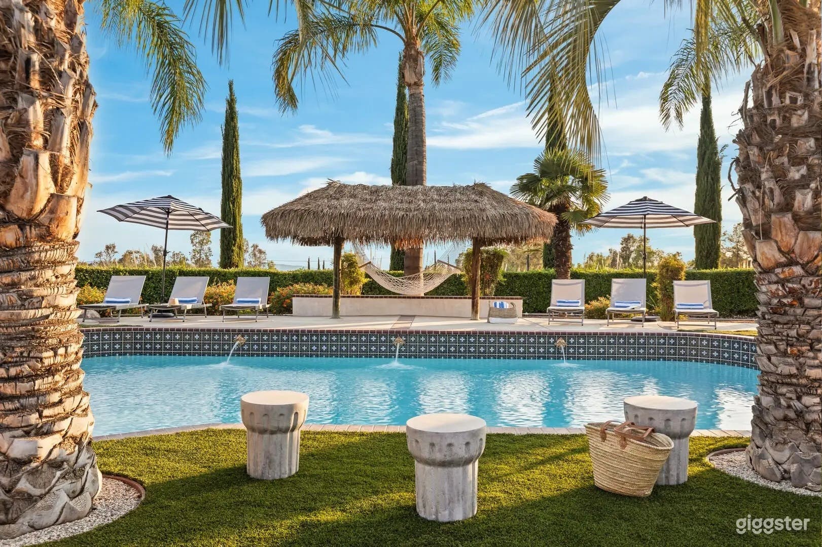 Villa Verdot | Palm-Lined Pool Photo 2