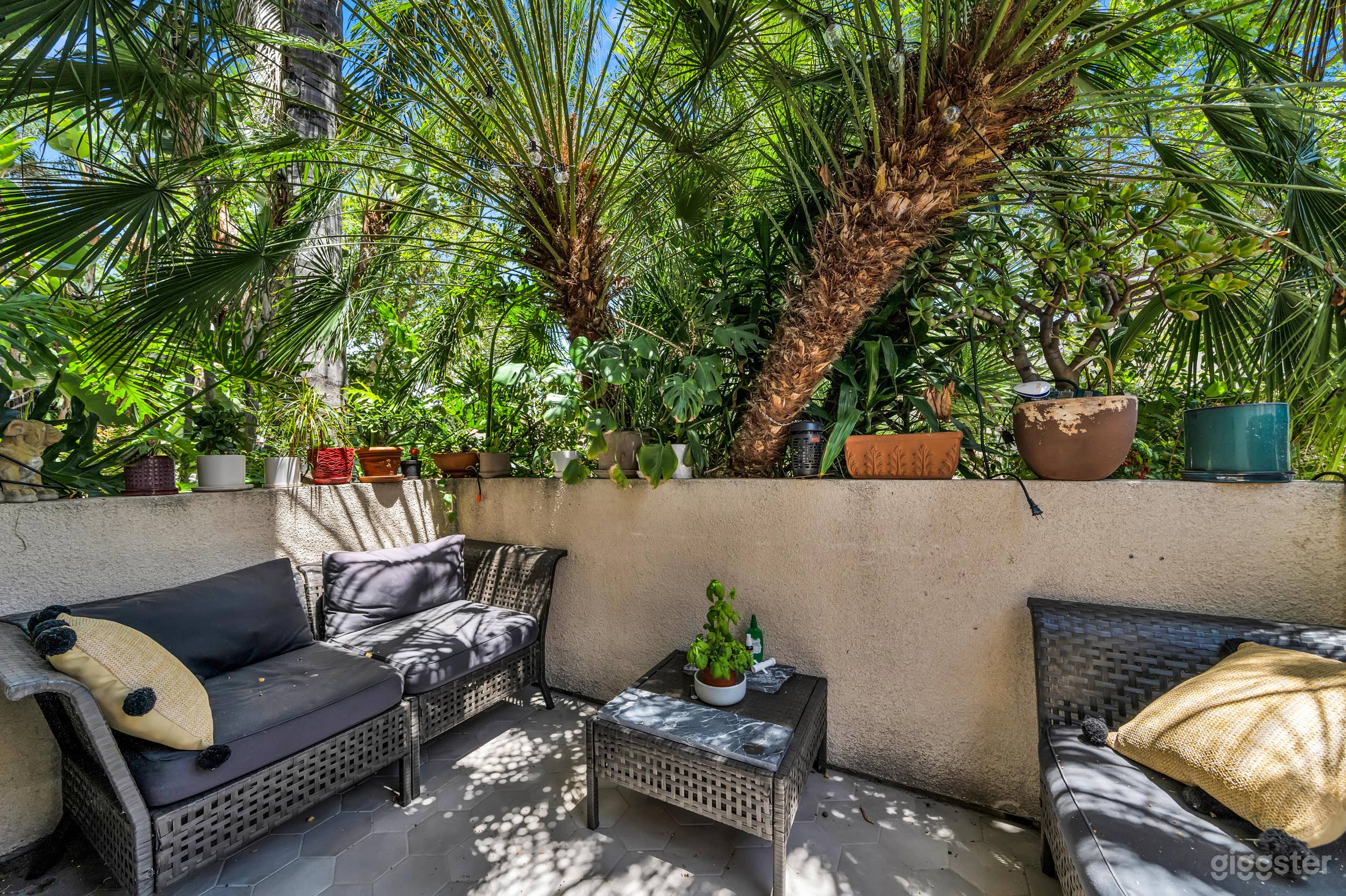 ARCHED MODERN SUNLIT ESCAPE Photo 4