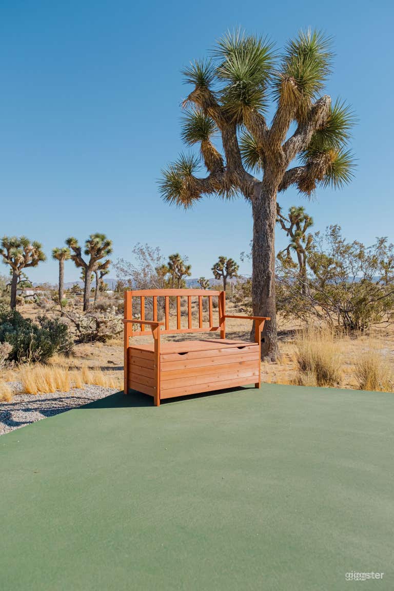  DESERT DREAMSCAPE TENNIS COURT 
