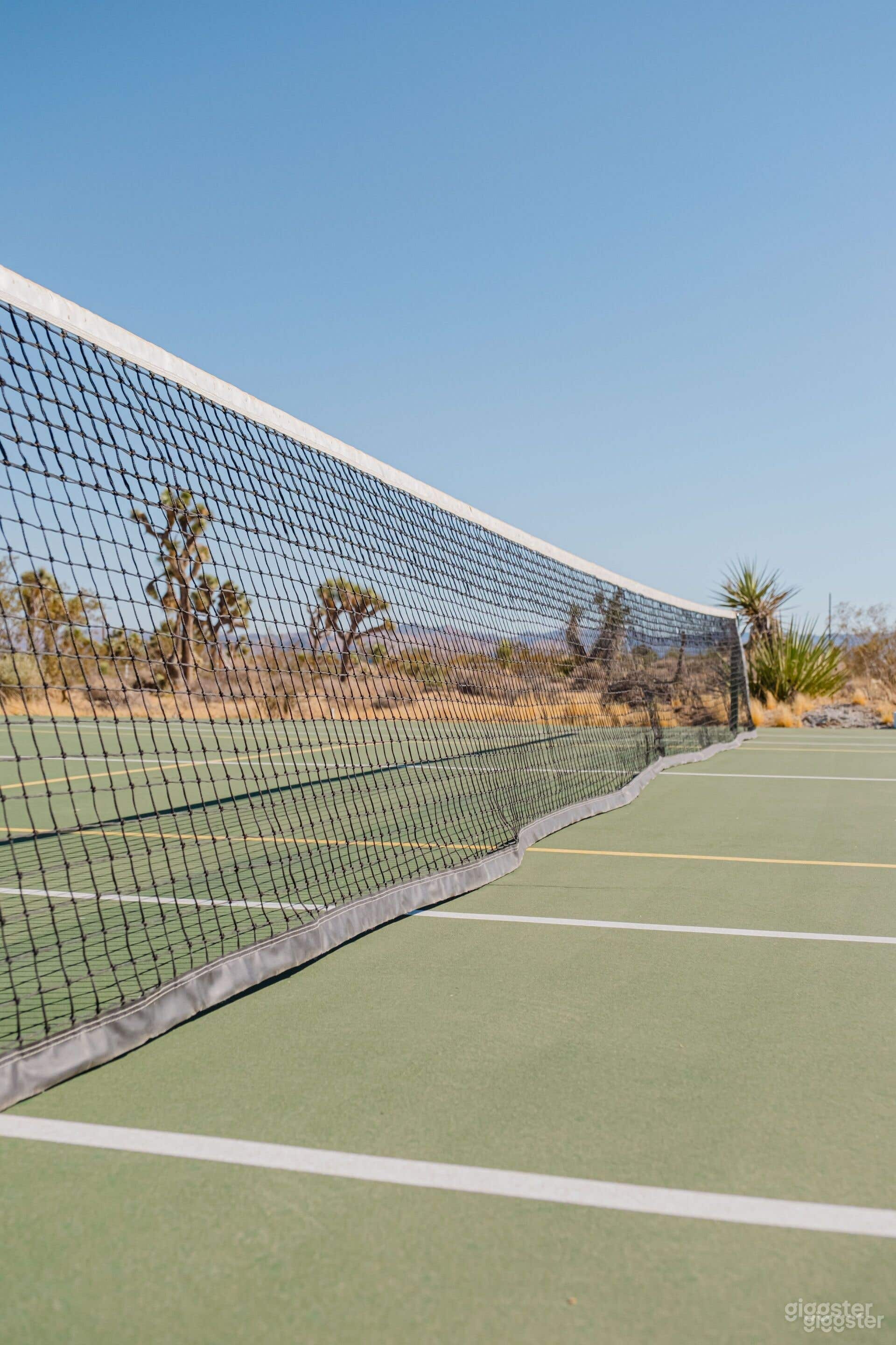 DESERT DREAMSCAPE TENNIS COURT Photo 4