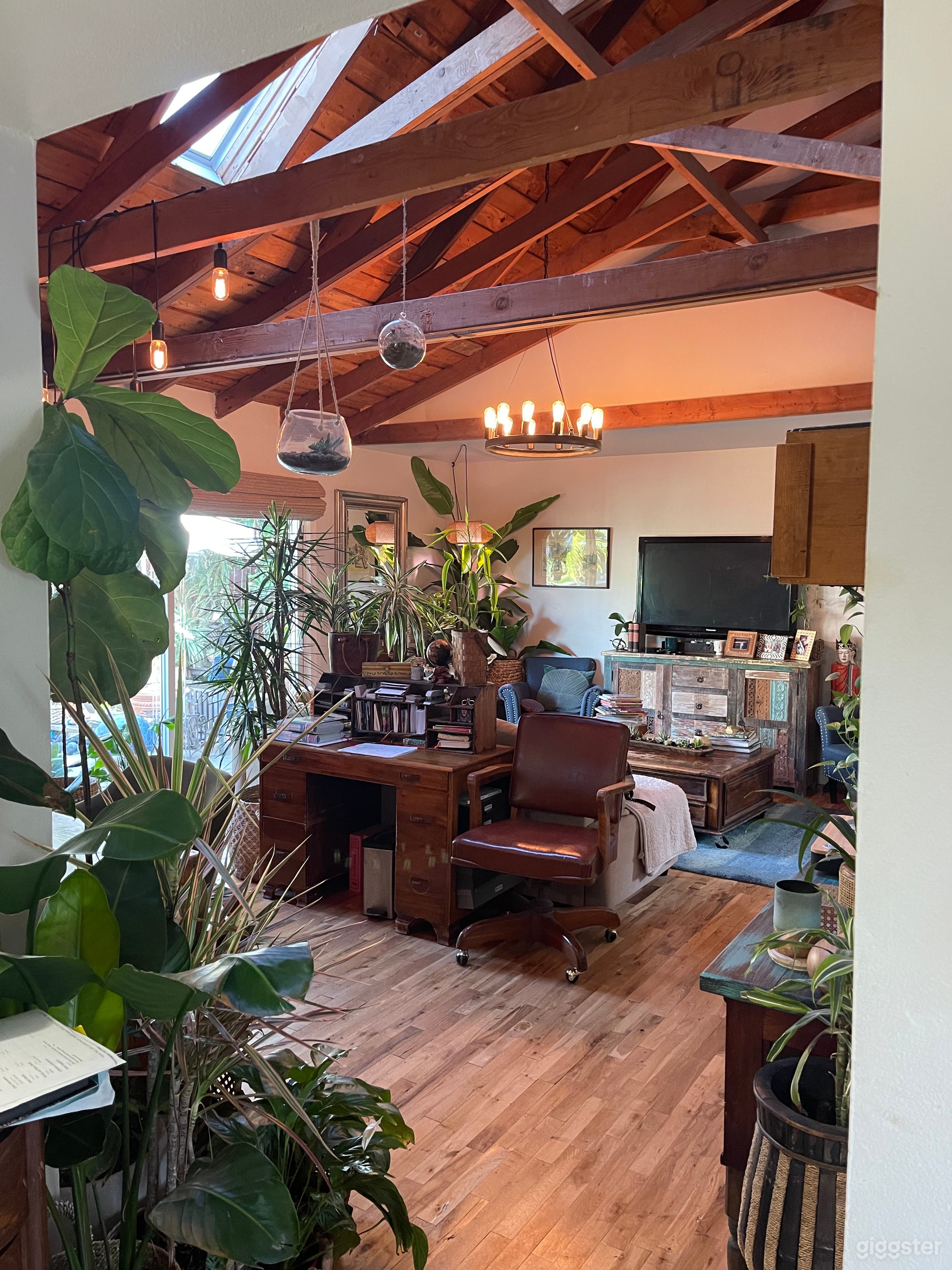 Eclectic Bohemian Plant House Photo 1