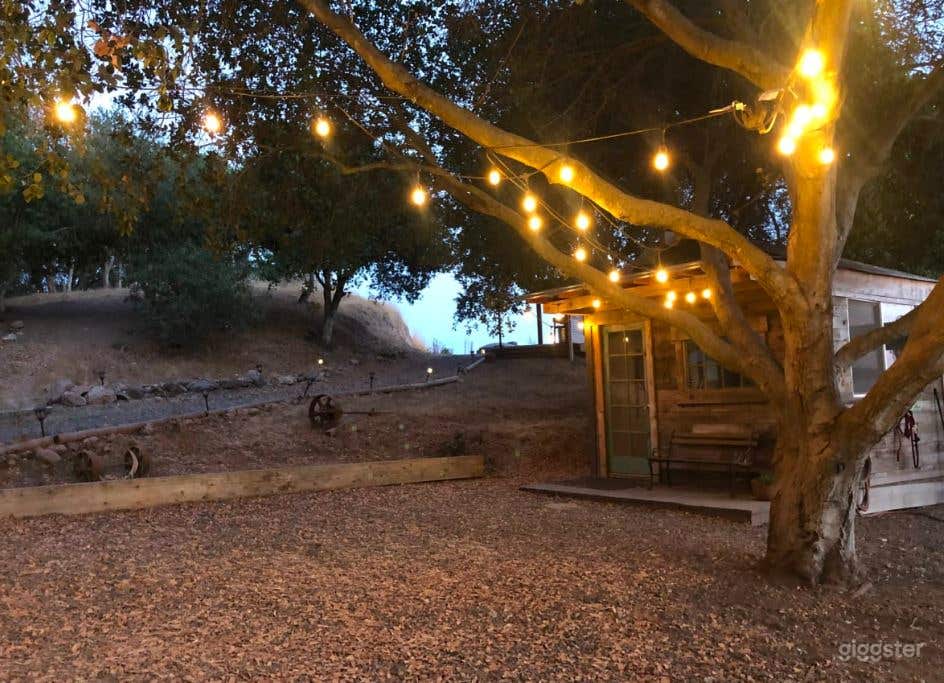 Rustic Country Barn on Farm Property in Penngrove, CA - Photo 4