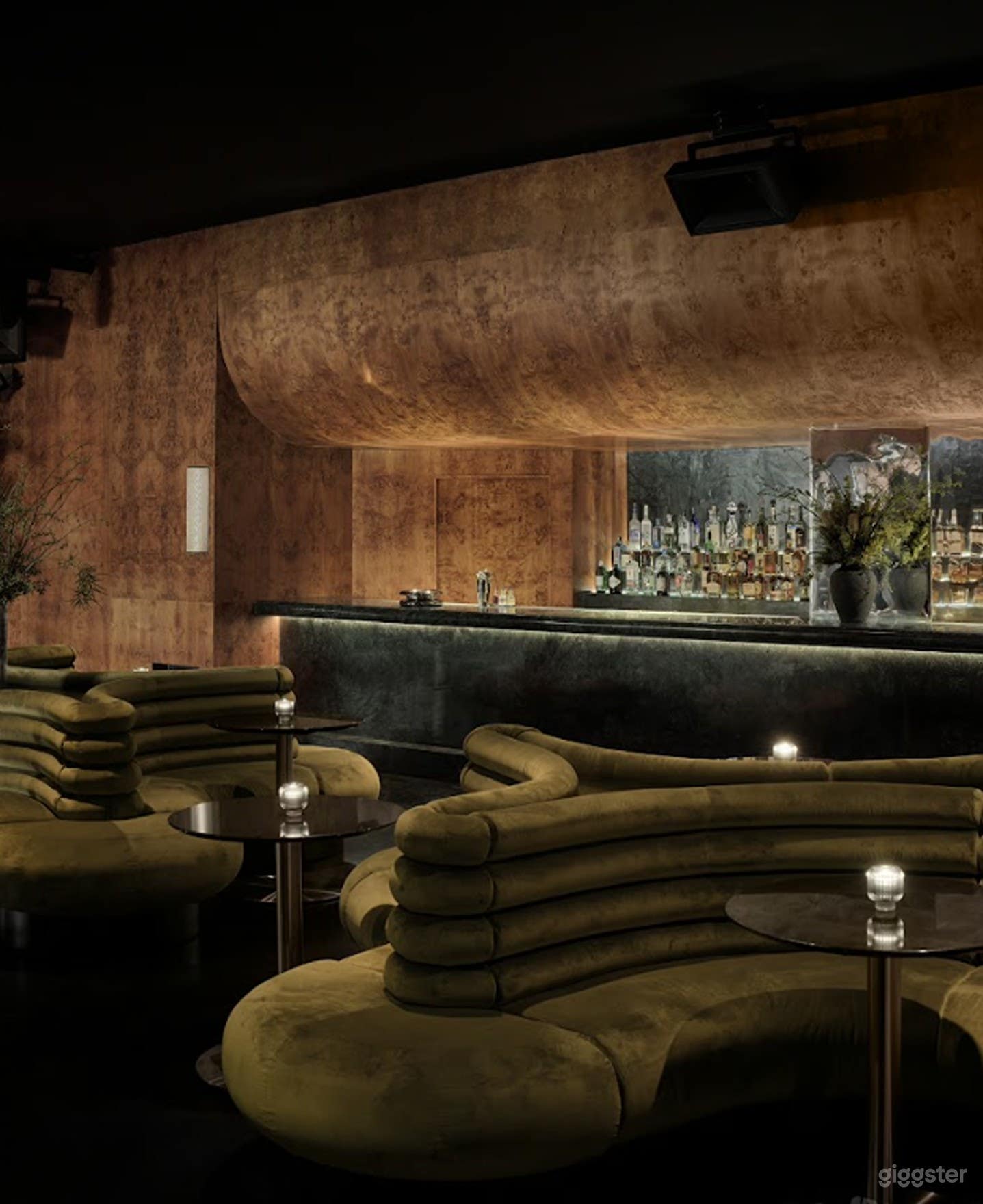 Full Venue Buyout | Subterranean Williamsburg Nightclub Photo 3