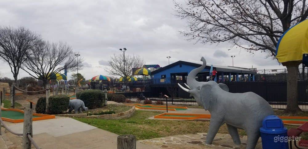 The Extreme Party Space  Photo 4