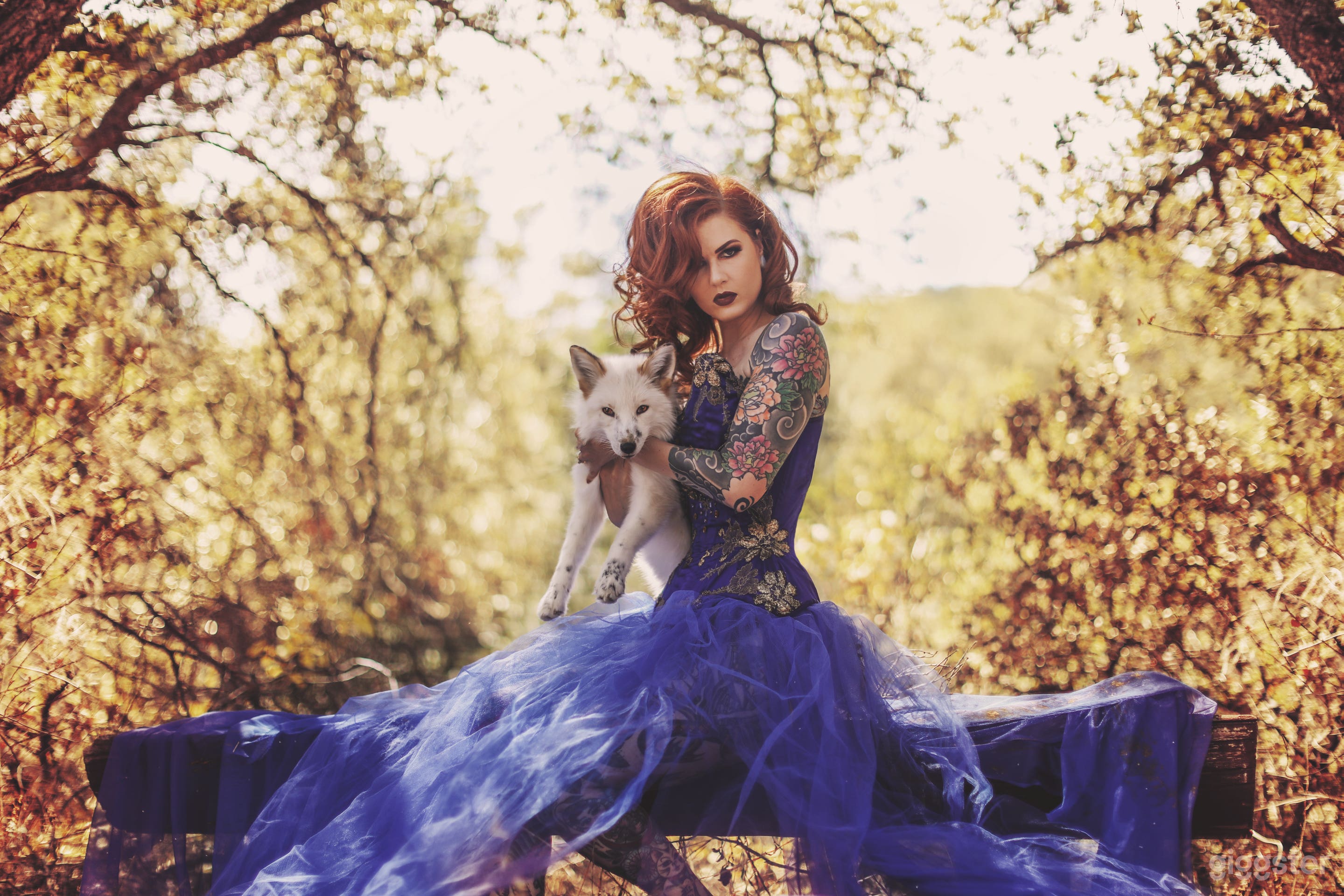 gorgeous photoshoot area - foxes extra