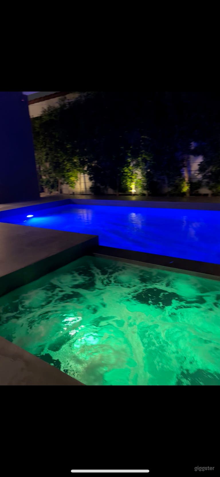  Tropical Poolside Oasis Celebrity's' Choice 