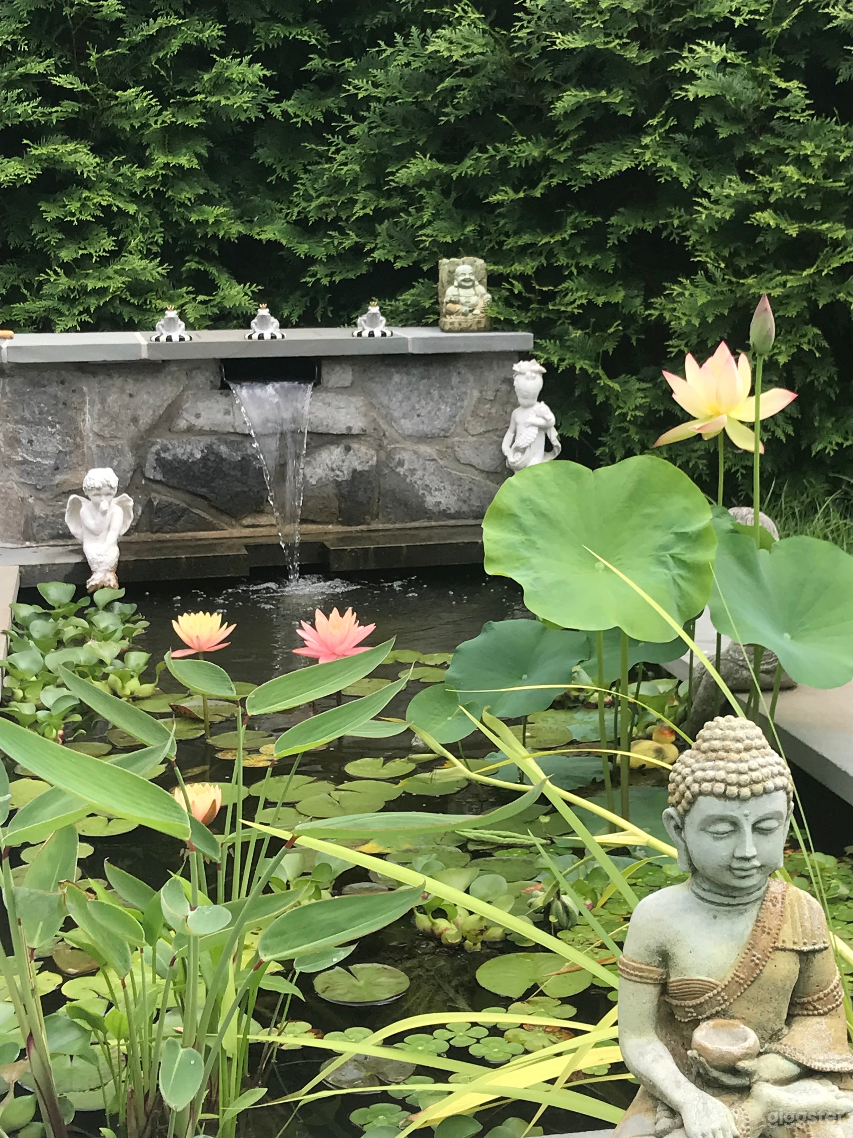 Zen-like Home with beautiful spaces + Water Garden Photo 2