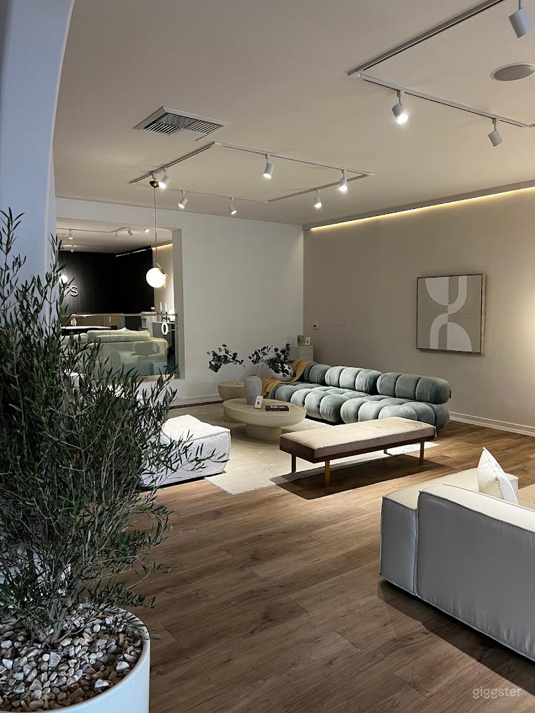 Beautiful Furniture Gallery Photo 2