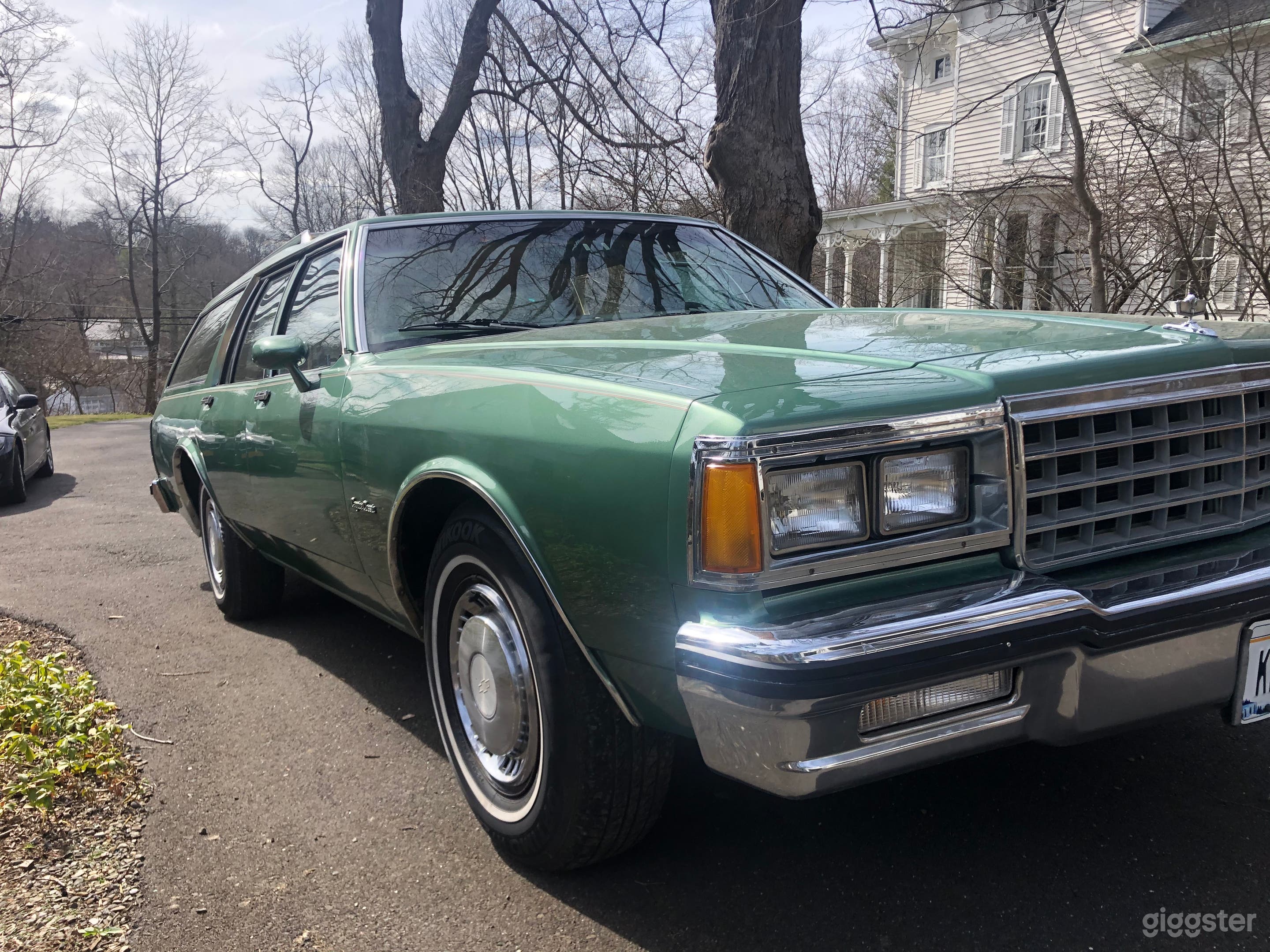 Caprice Station Wagon Photo 2