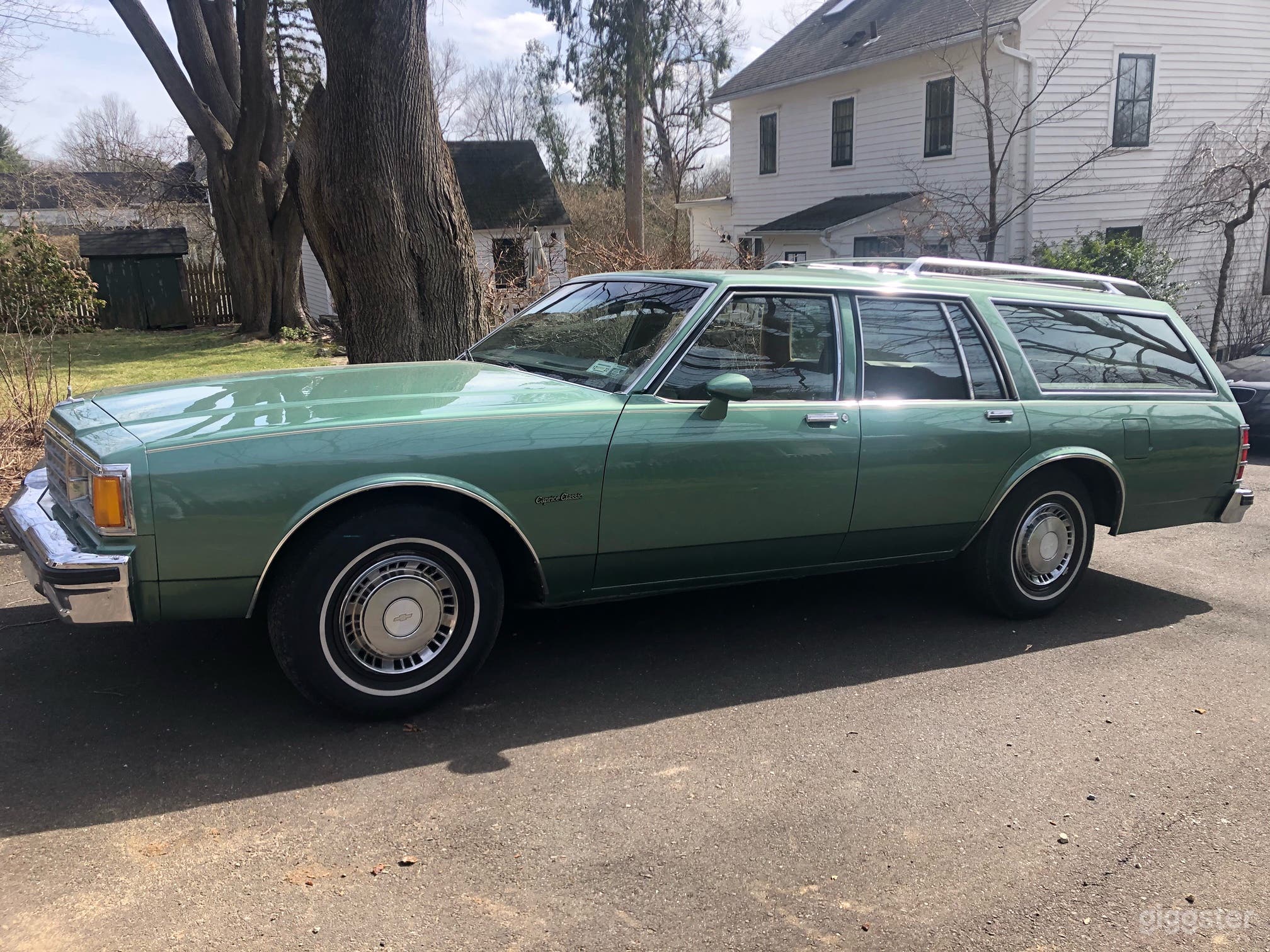 Caprice Station Wagon Photo 4